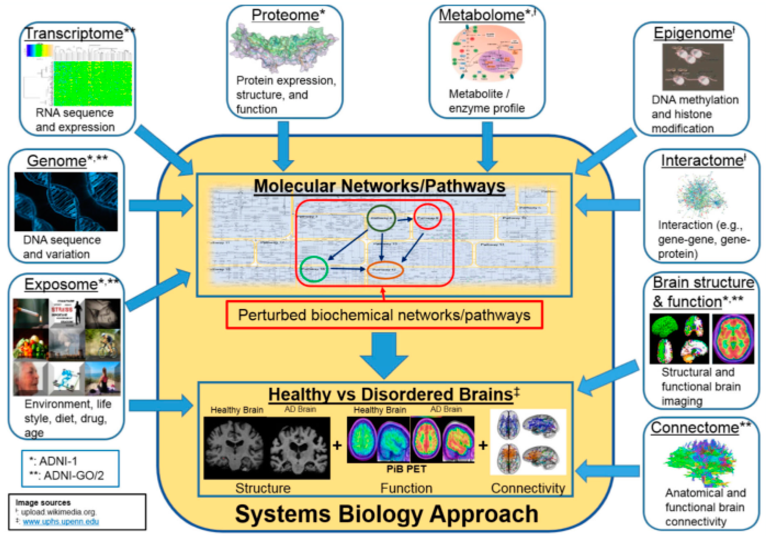 Diagnostics 15 00211 g001