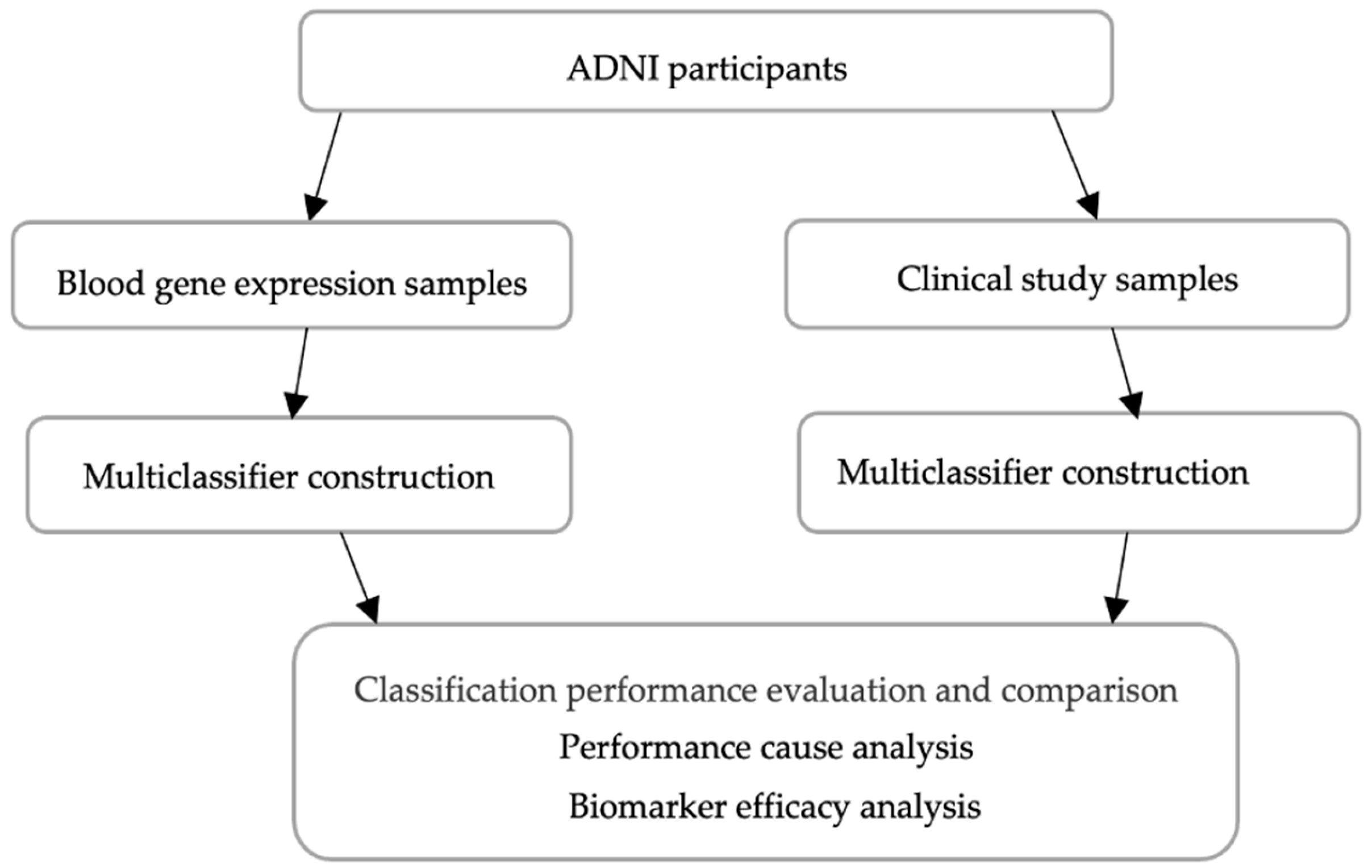 Diagnostics 15 00211 g003