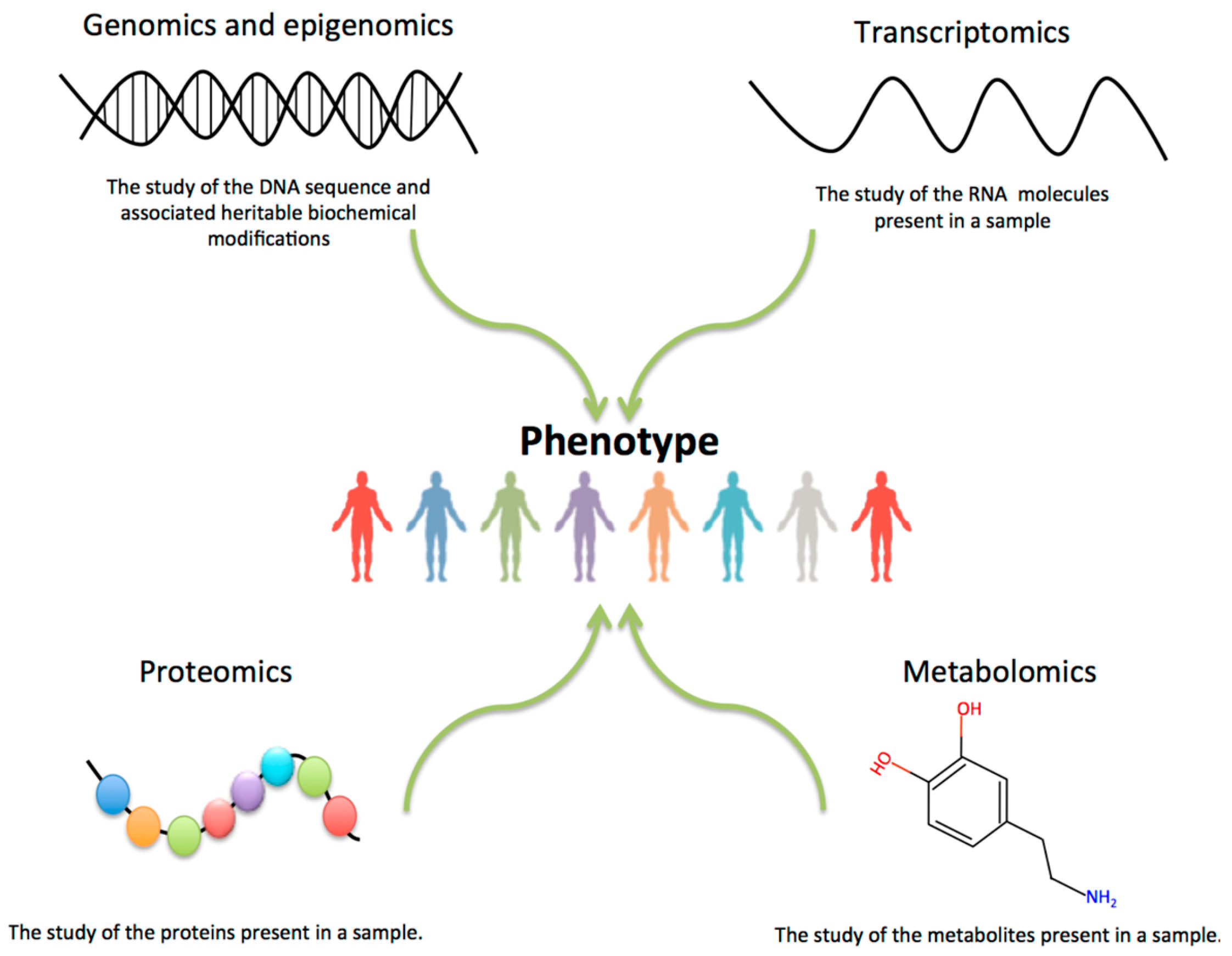 Diagnostics 15 00211 g012