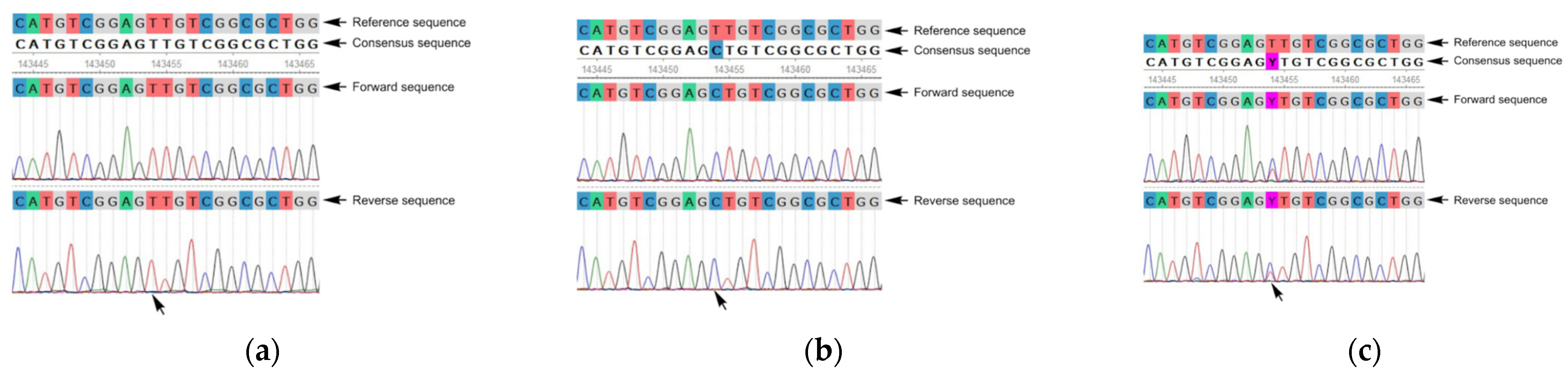 Diagnostics 15 00214 g002