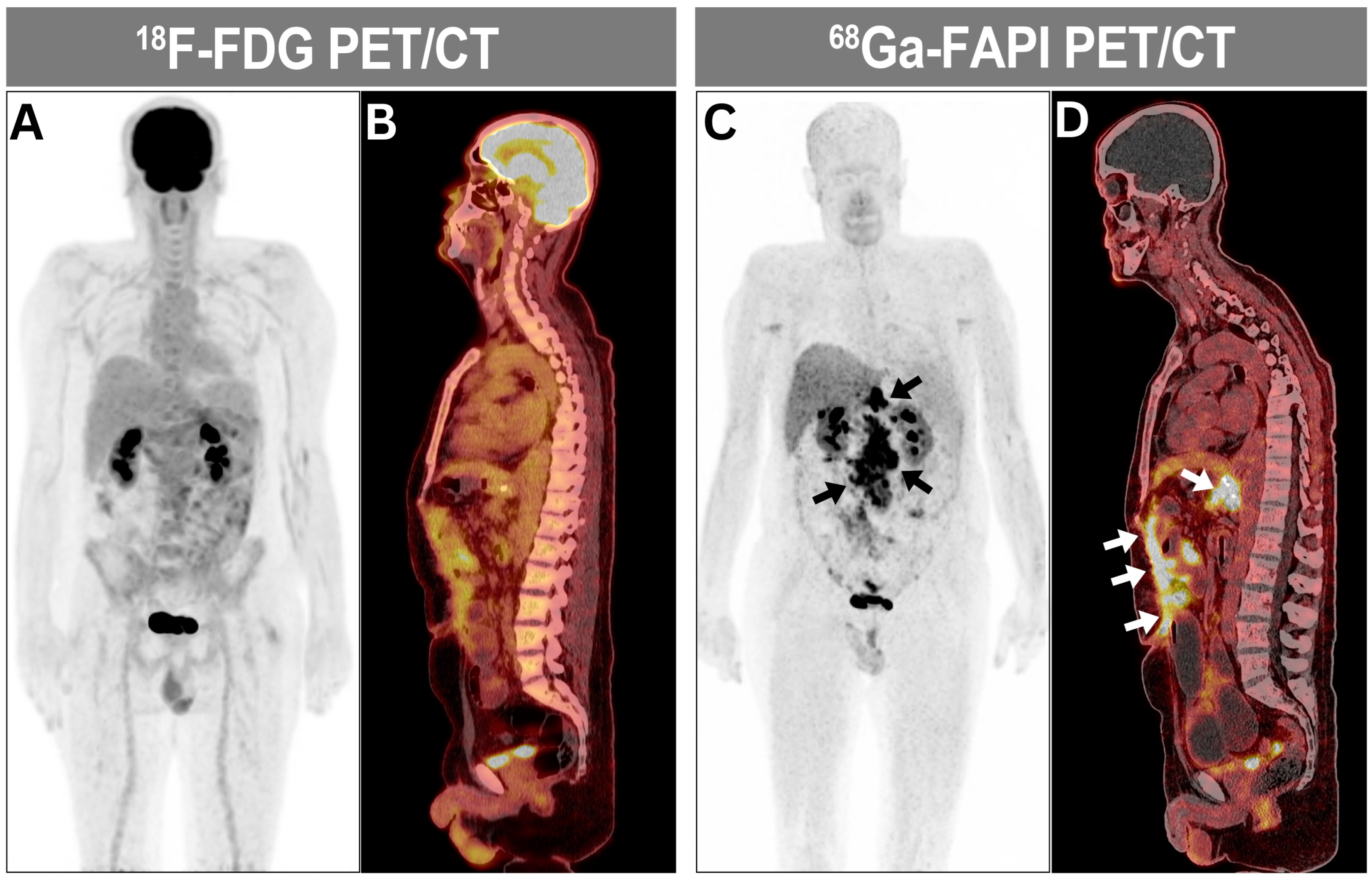 Diagnostics 15 00218 g003