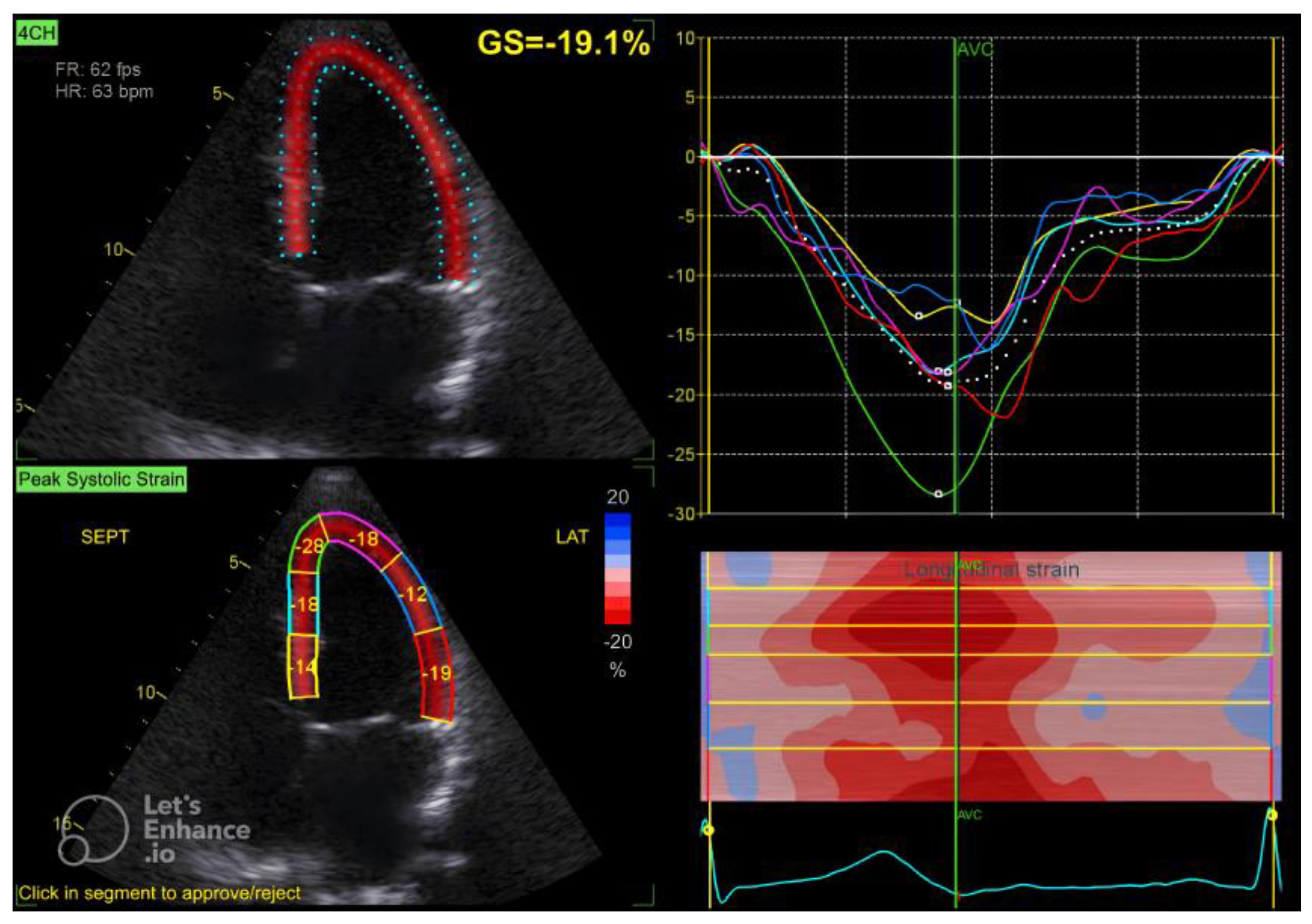 Diagnostics 15 00222 g001