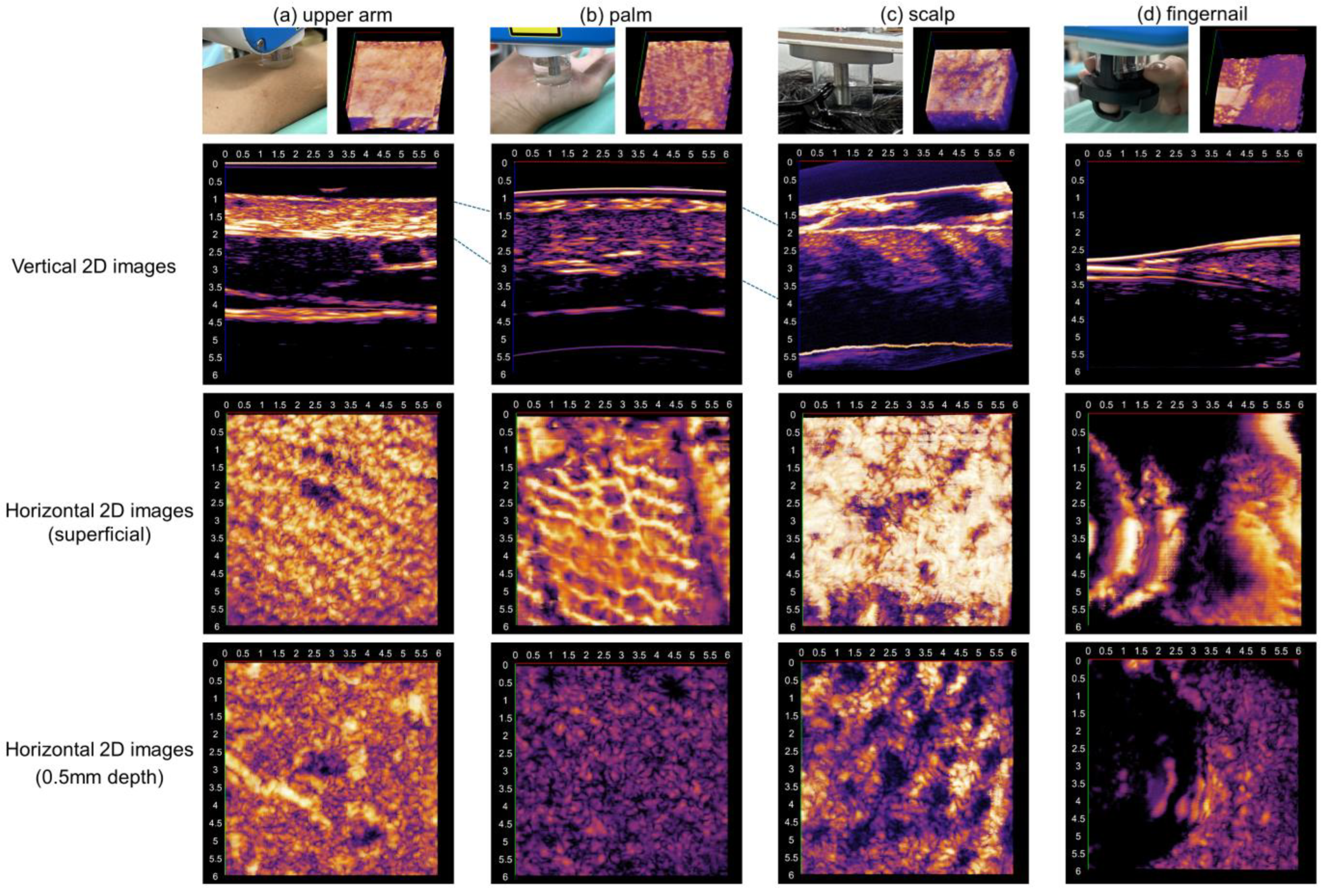 Diagnostics 15 00223 g003