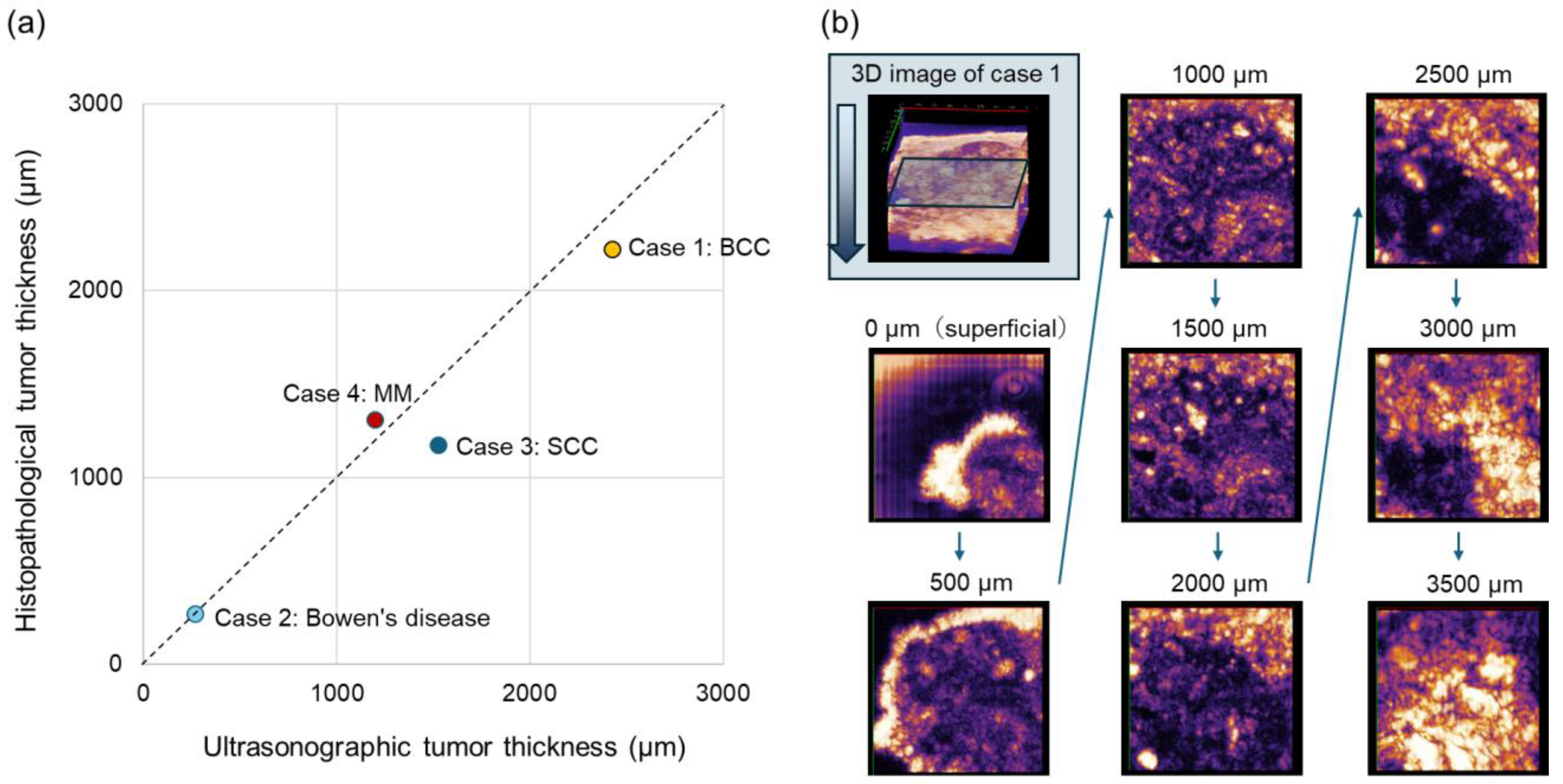 Diagnostics 15 00223 g006