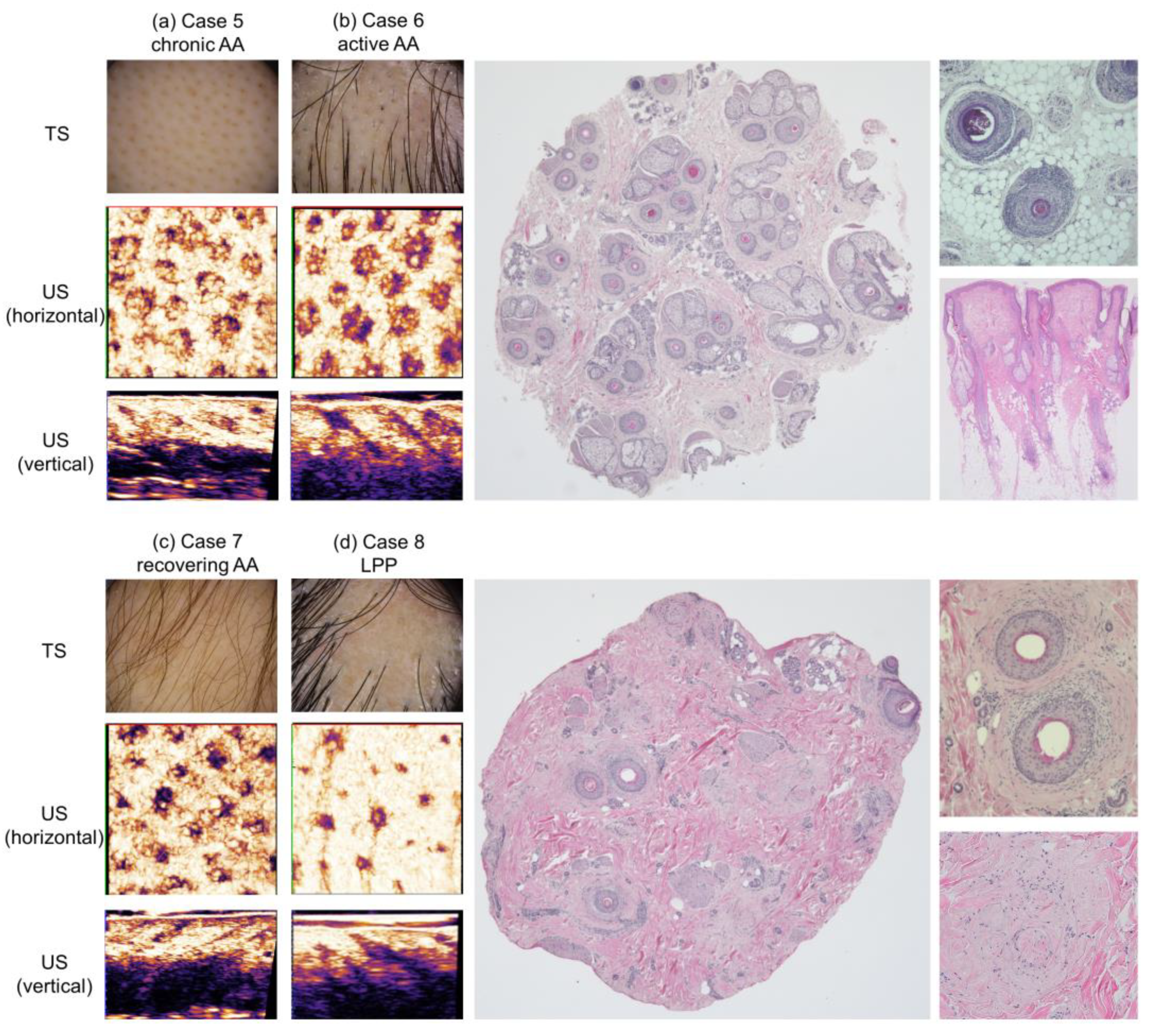 Diagnostics 15 00223 g007