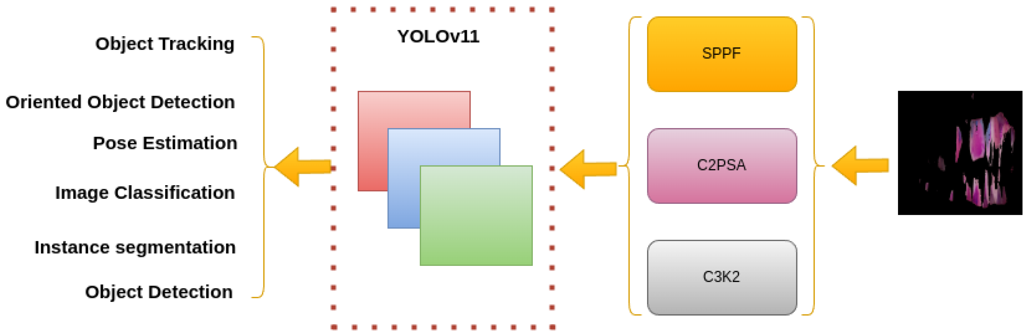Diagnostics 15 00231 g003