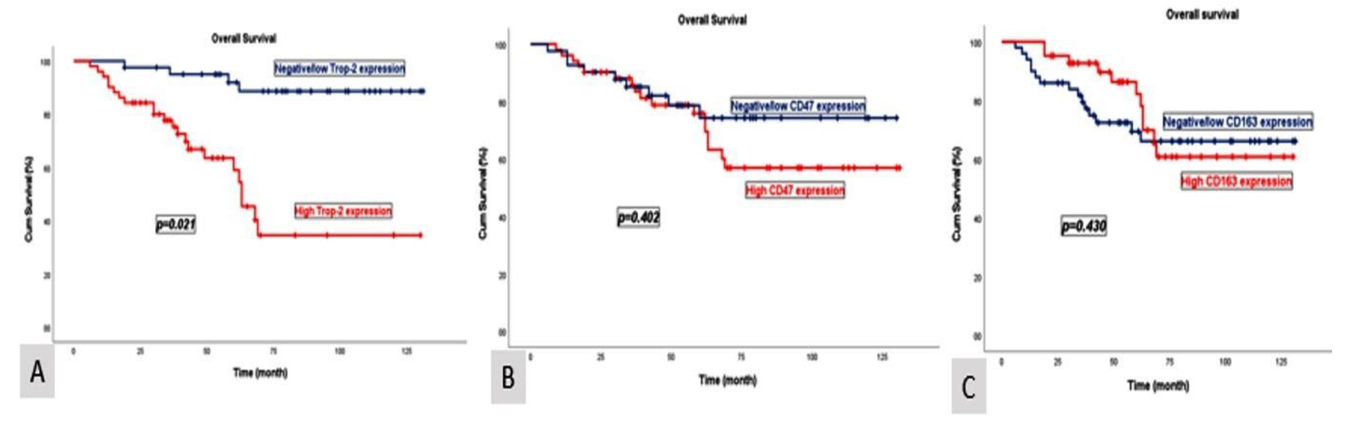 Diagnostics 15 00232 g002