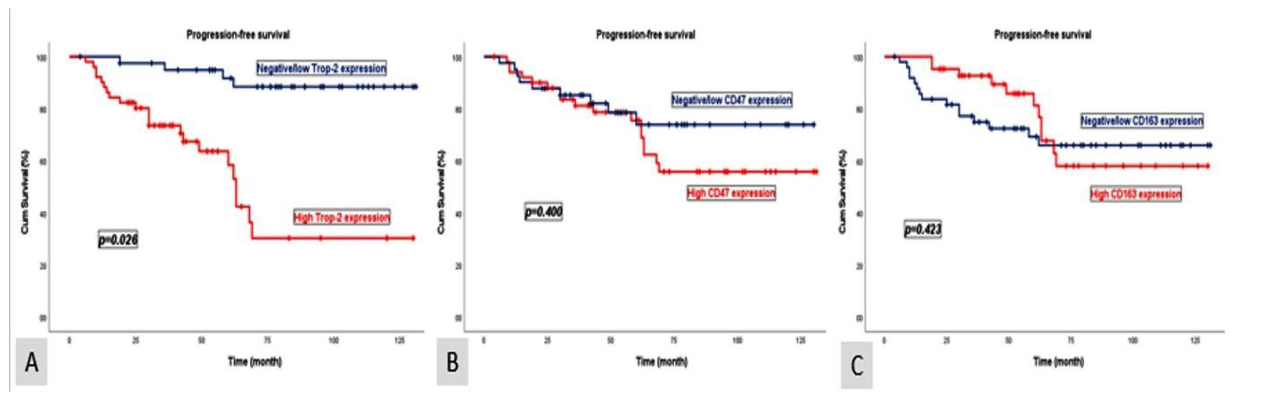 Diagnostics 15 00232 g003