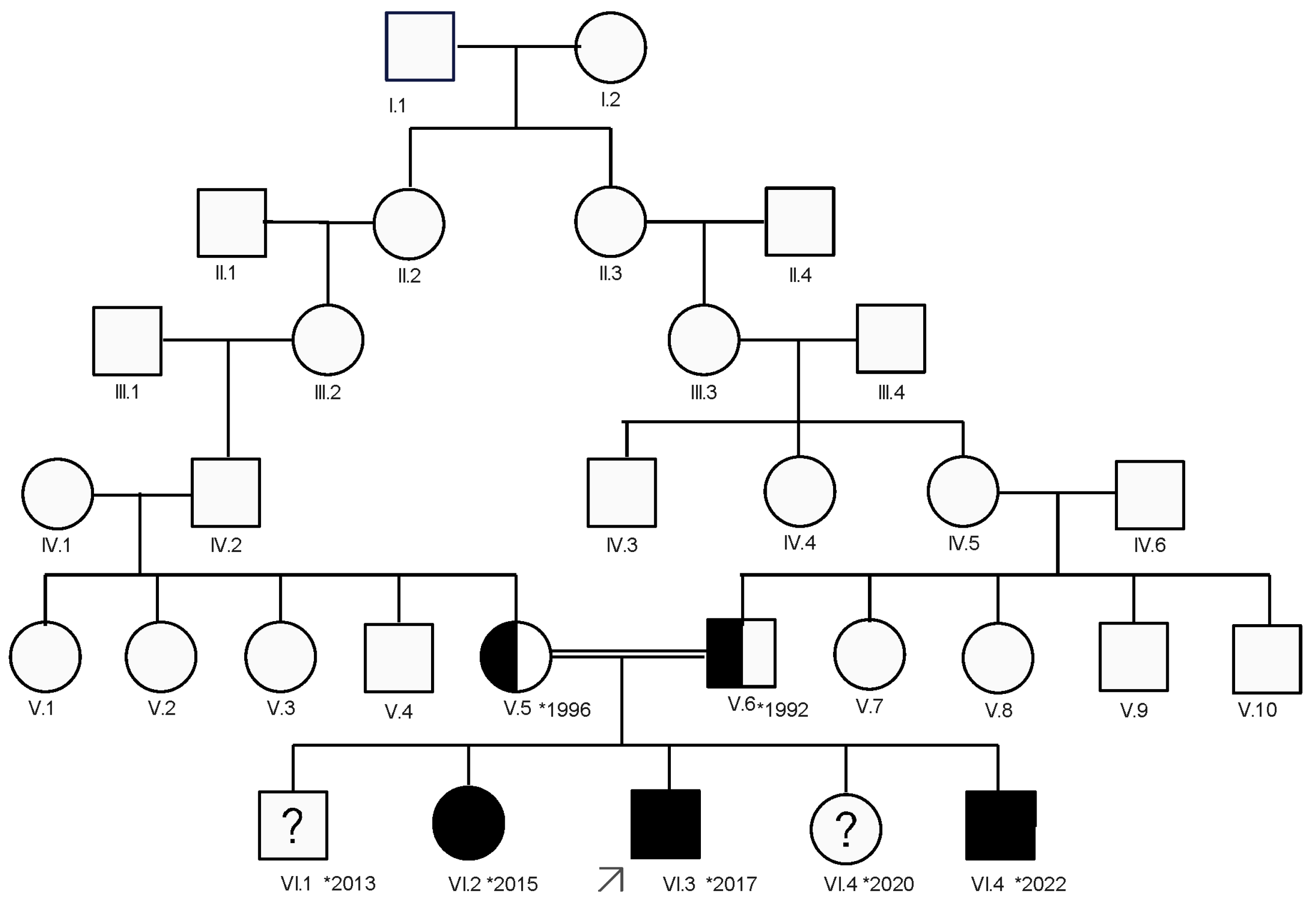 Congenital Myasthenic Syndrome-4C in a Consanguineous Romani 