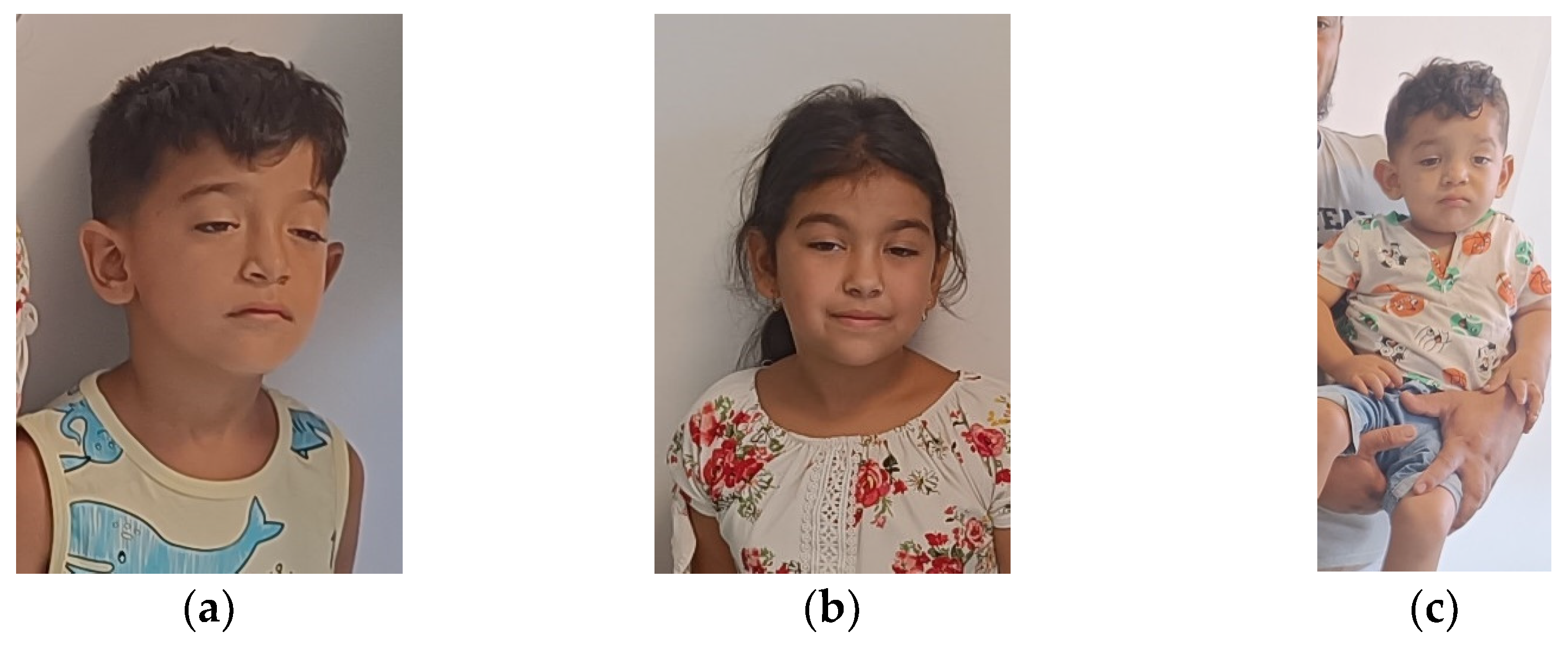 Diagnostics 15 00235 g002 Diagnostics 15 00235 g002