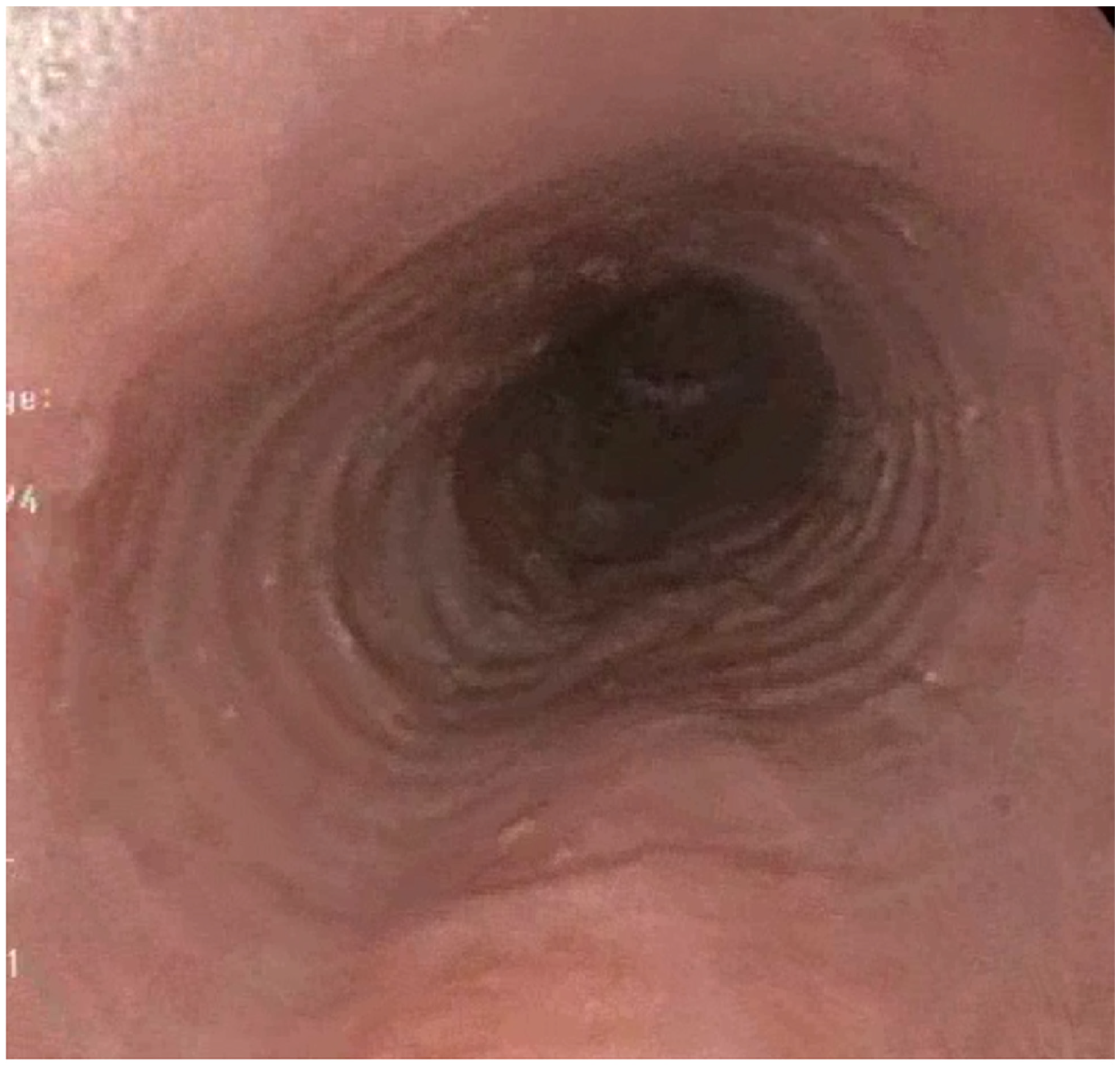 Diagnostics 15 00240 g001