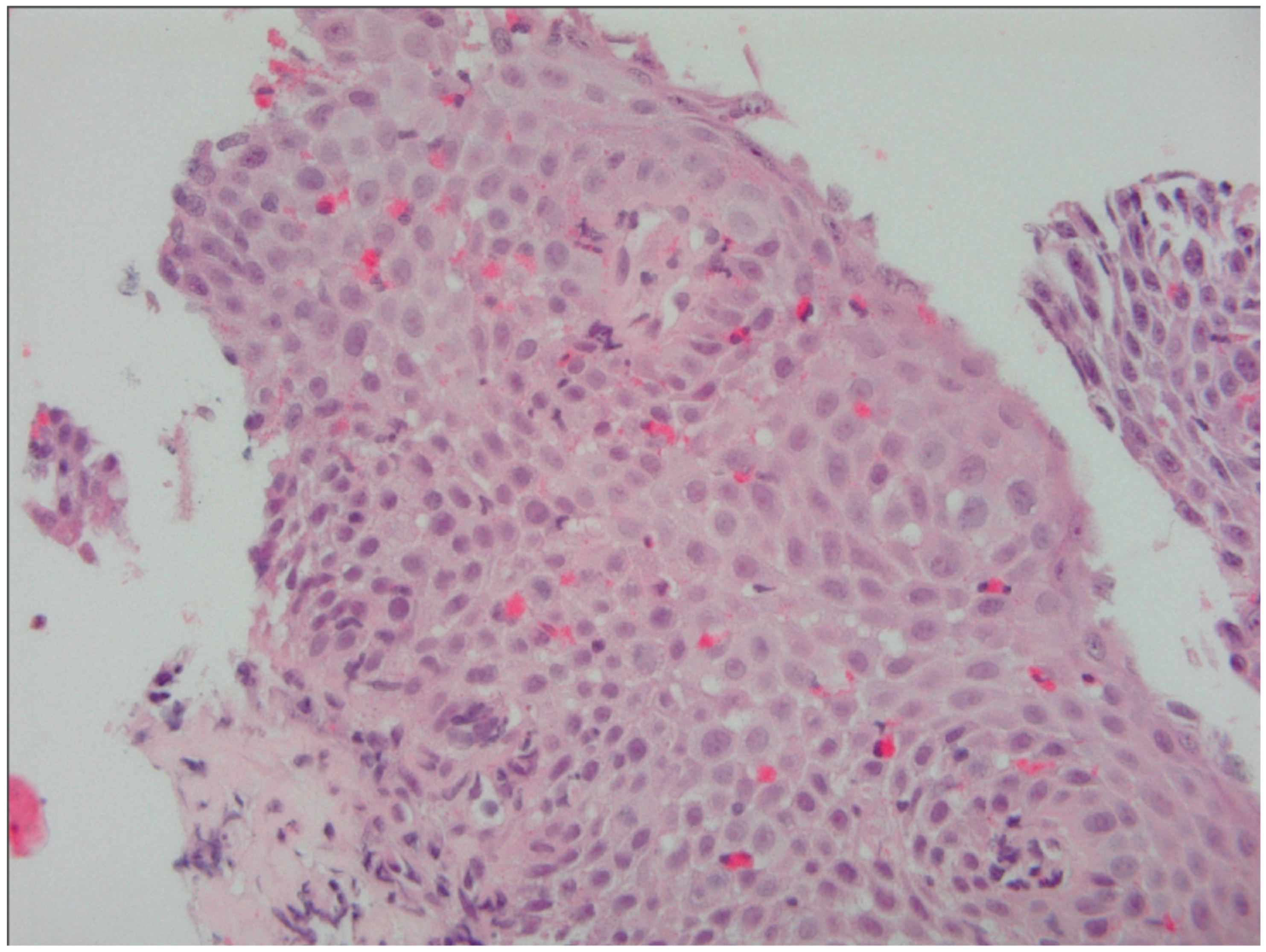 Diagnostics 15 00240 g002