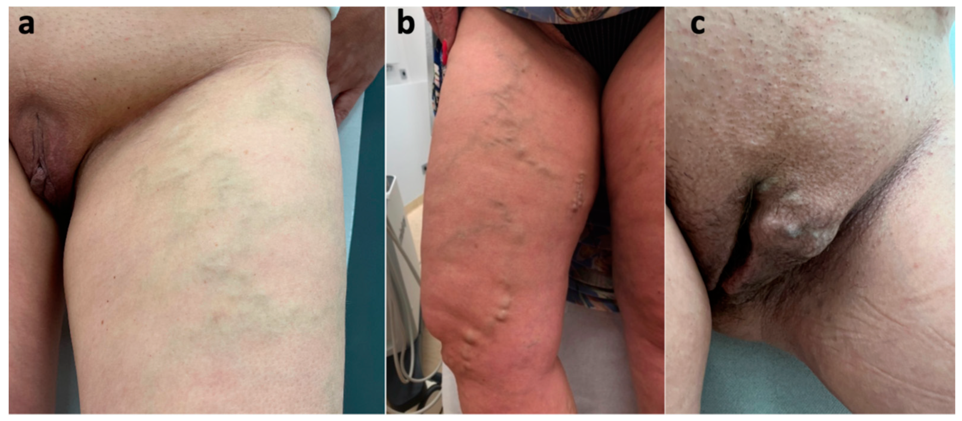 Diagnostics 15 00245 g005