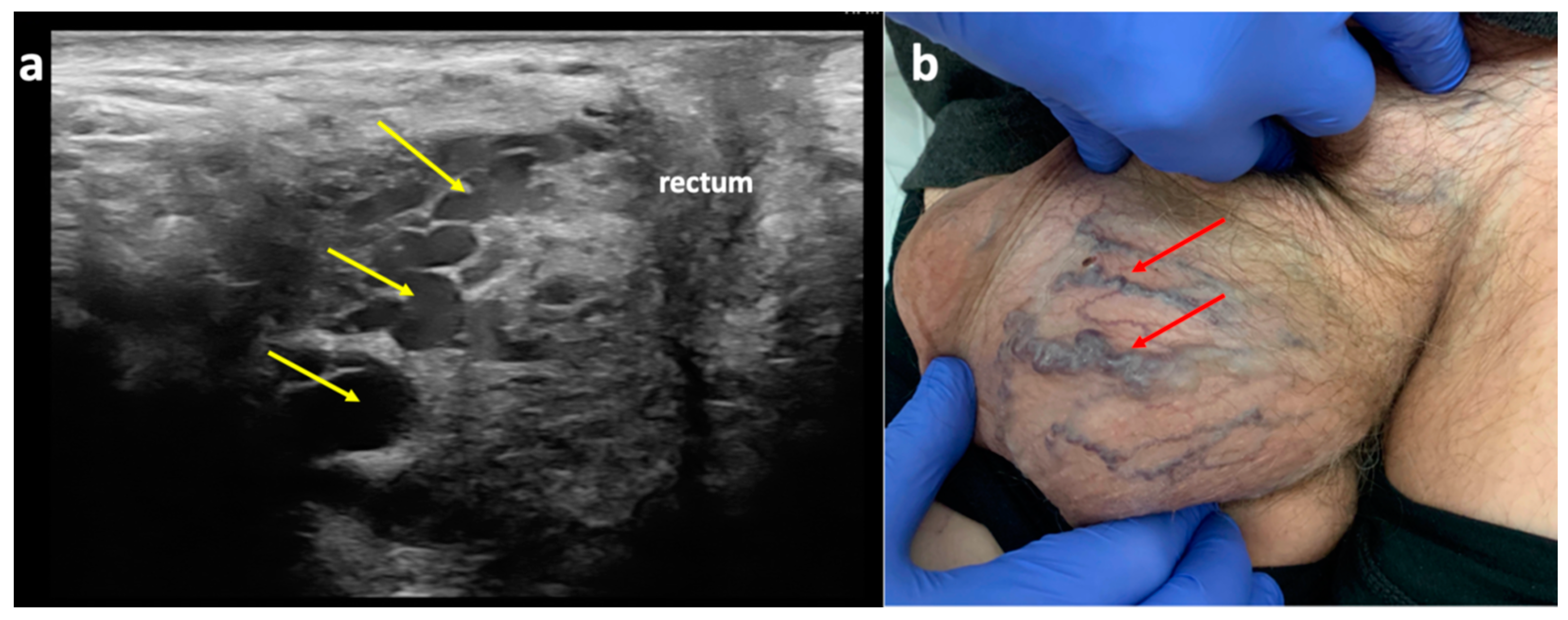 Diagnostics 15 00245 g010