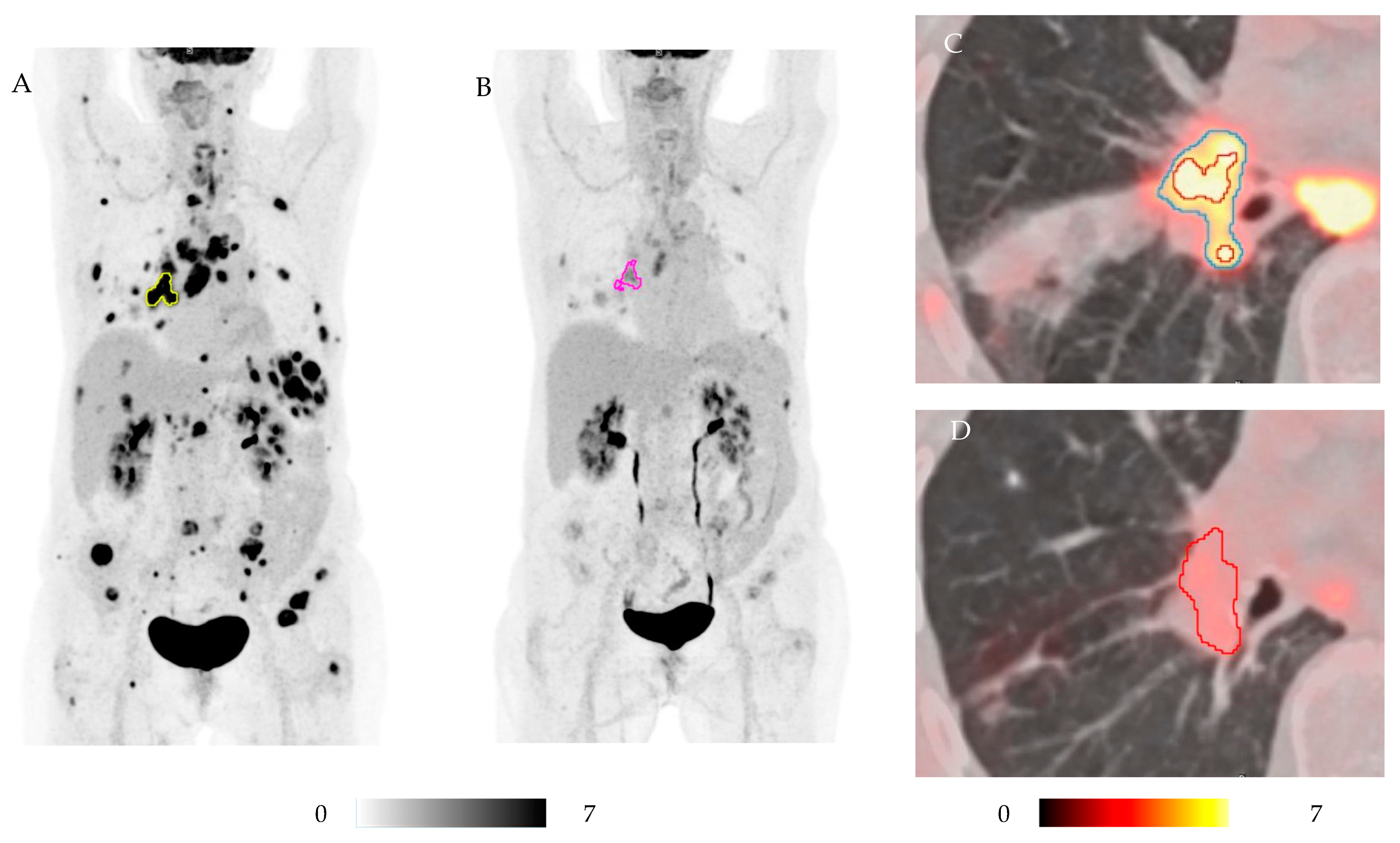 Diagnostics 15 00247 g003