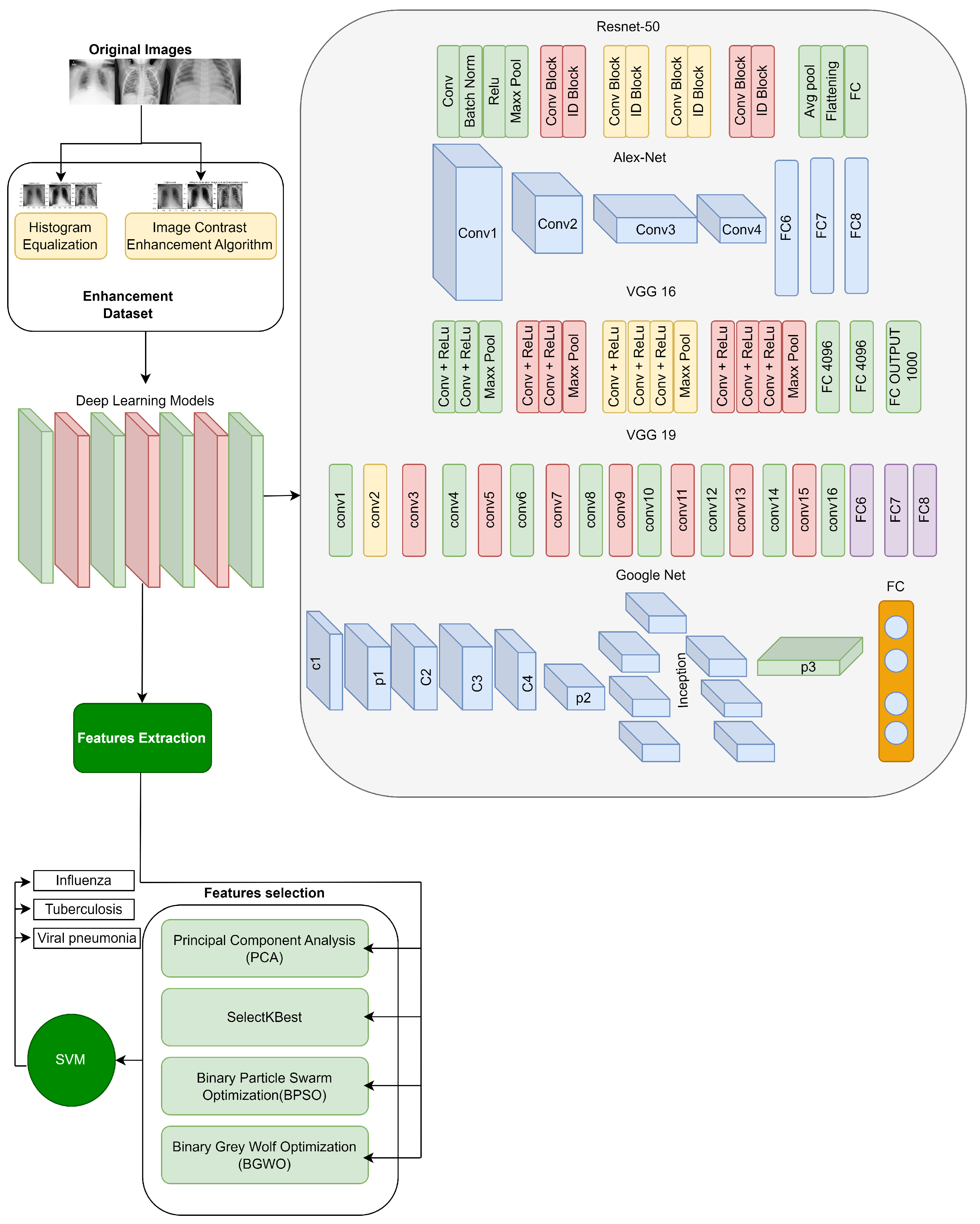 Diagnostics 15 00248 g001