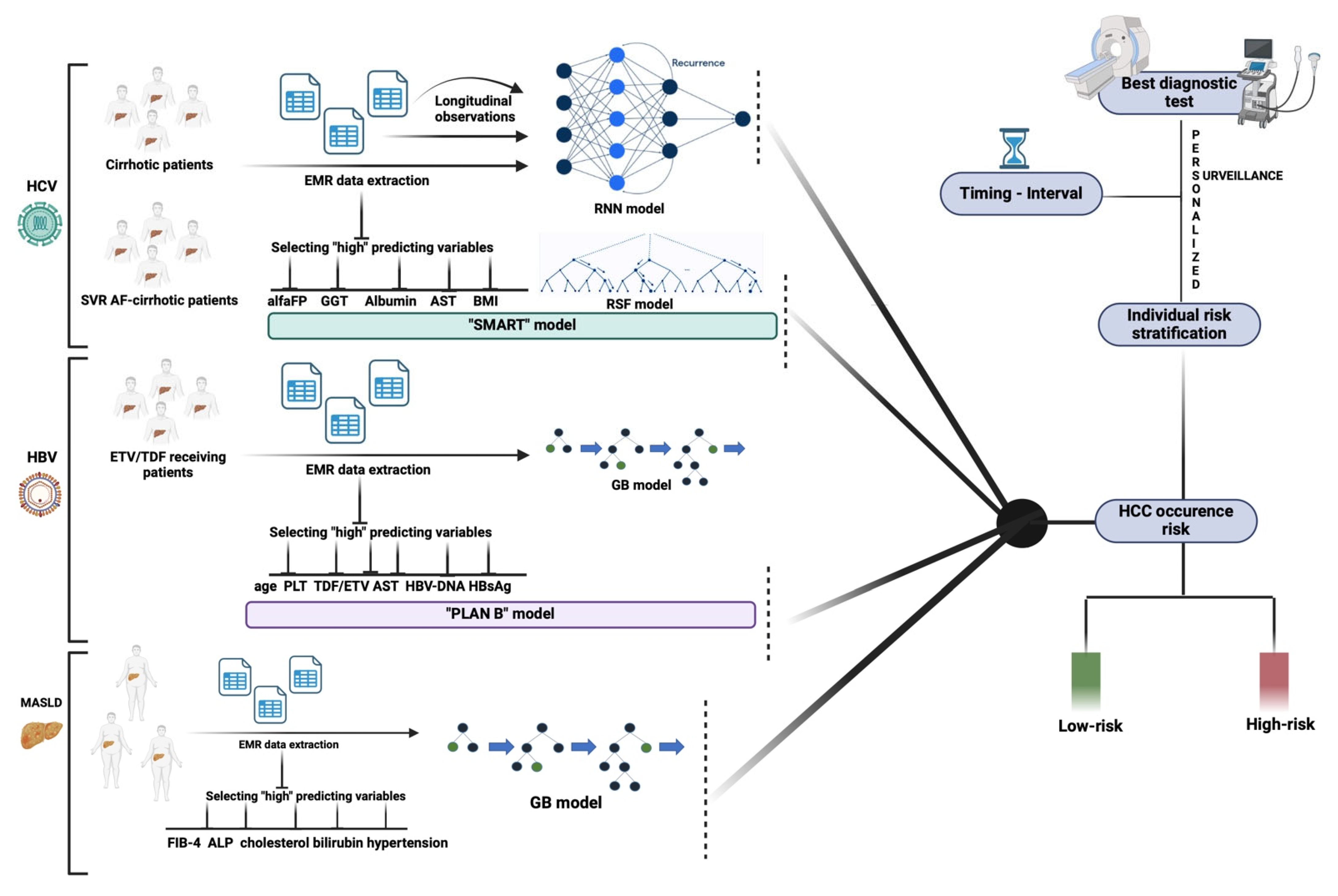 Diagnostics 15 00252 g001