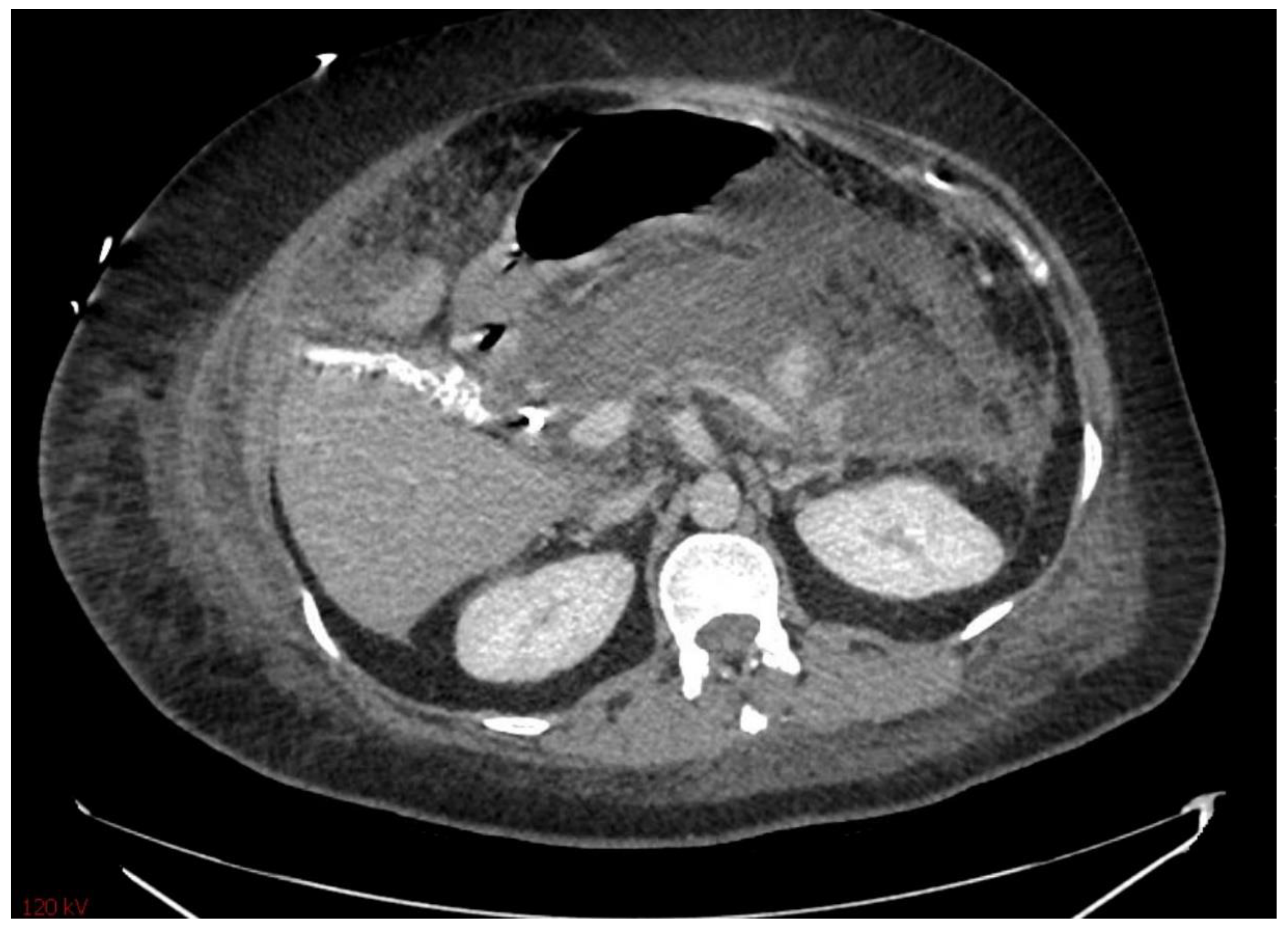 Diagnostics 15 00258 g001