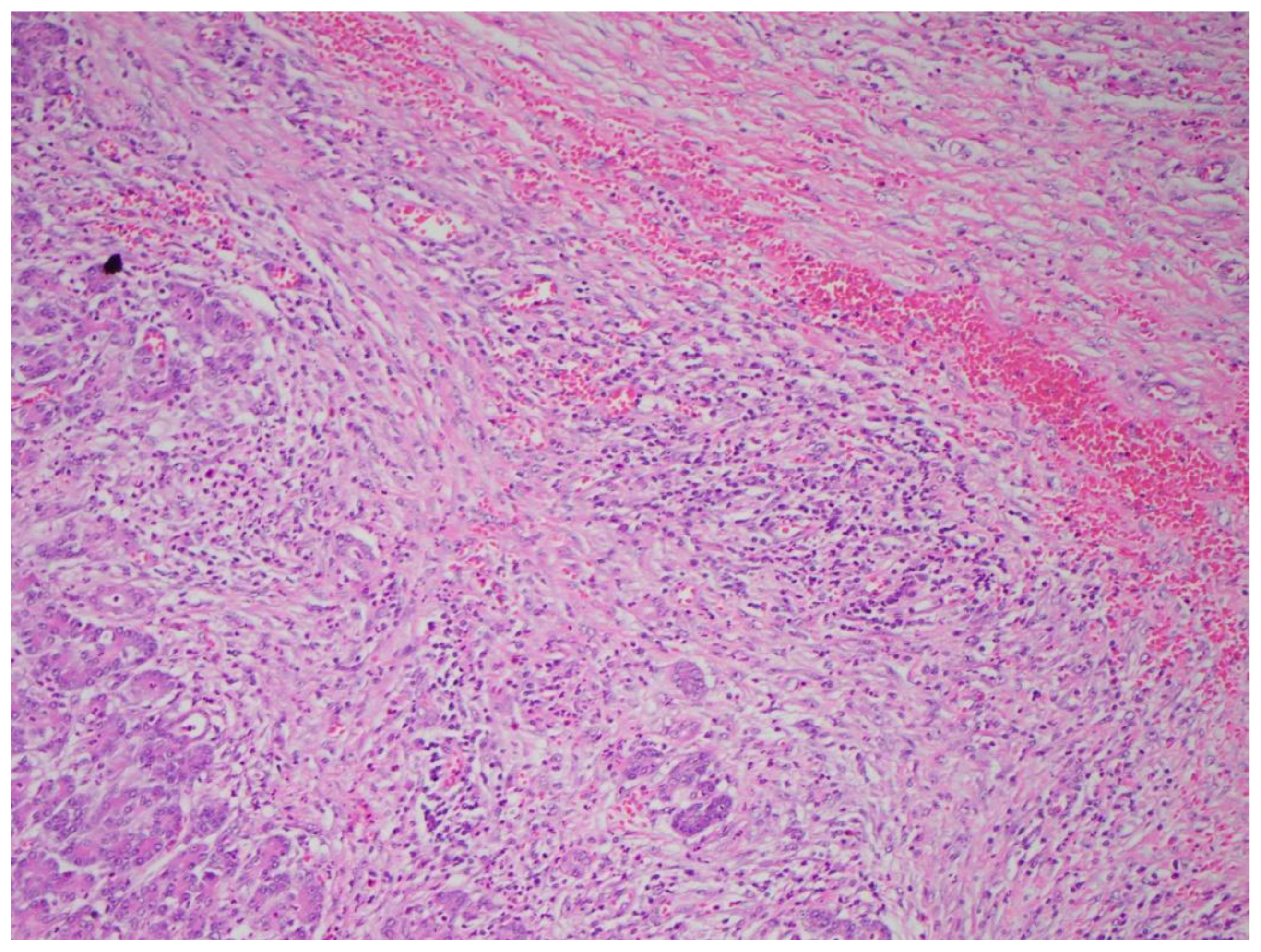 Diagnostics 15 00258 g002