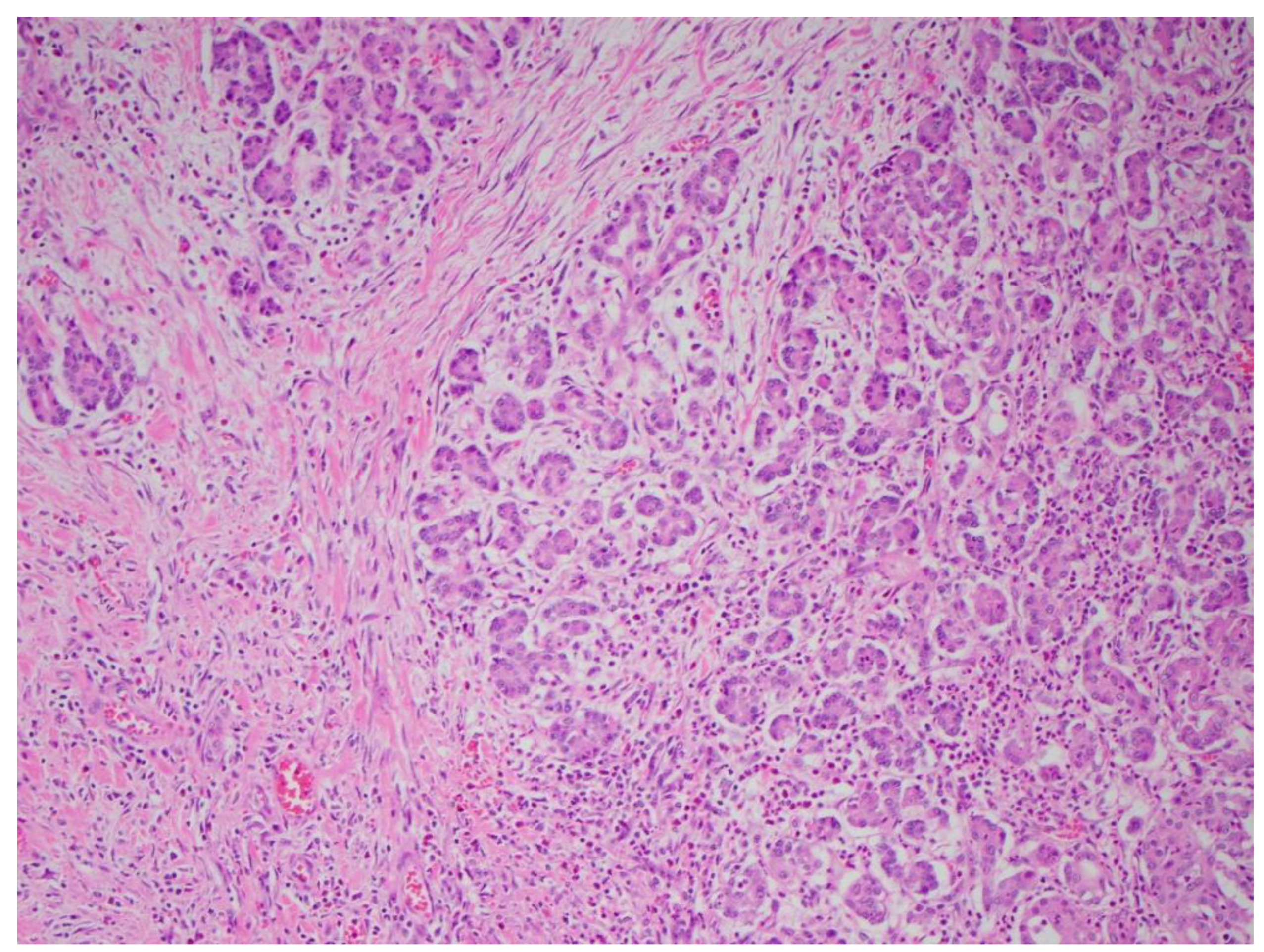 Diagnostics 15 00258 g003