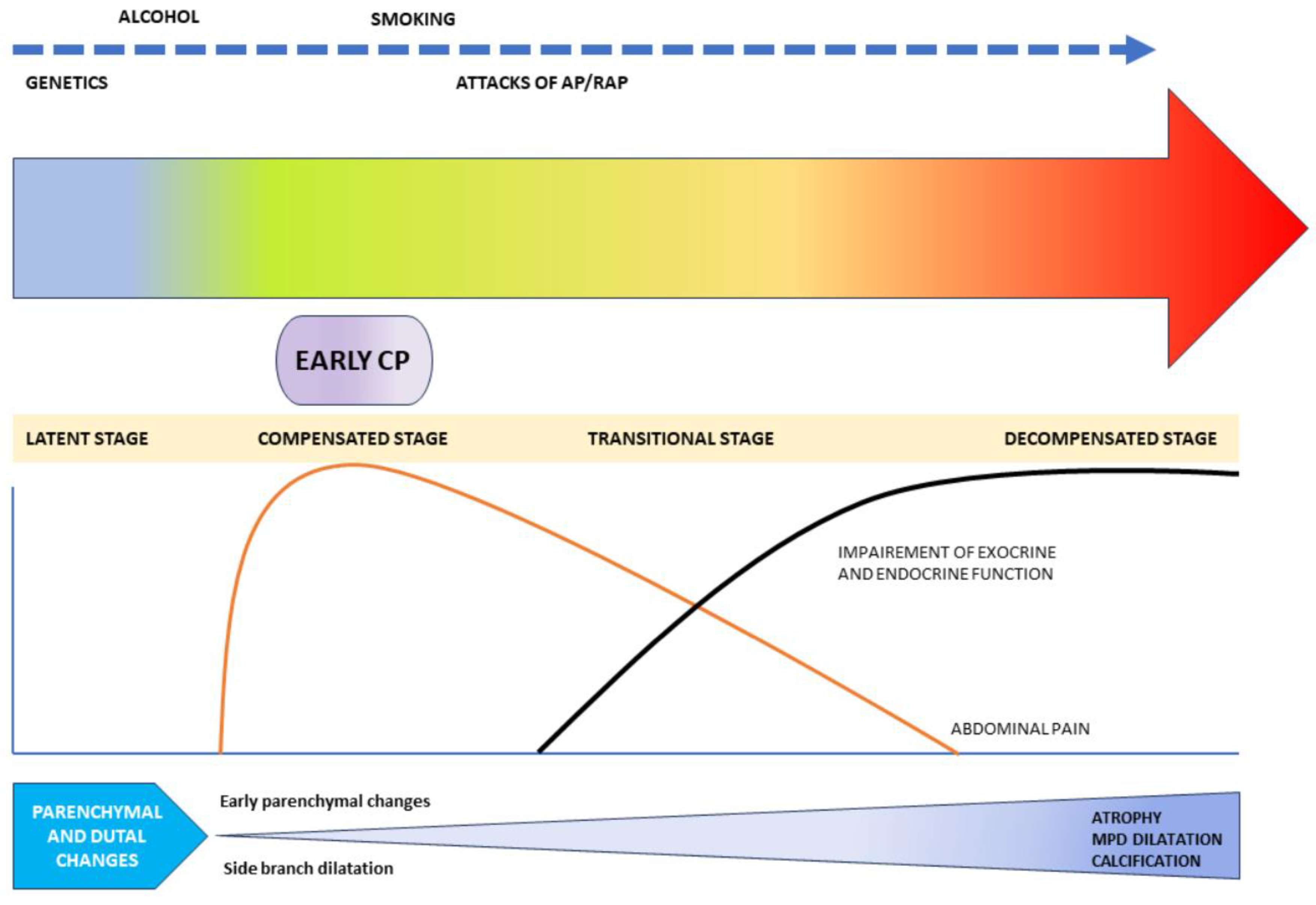 Diagnostics 15 00258 g007