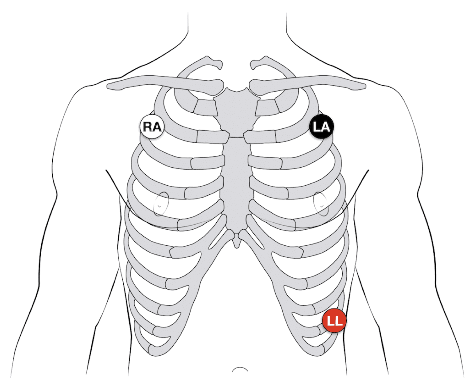 Diagnostics 15 00261 g002