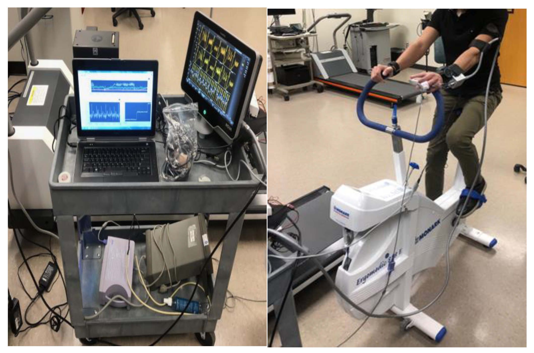 Diagnostics 15 00261 g003