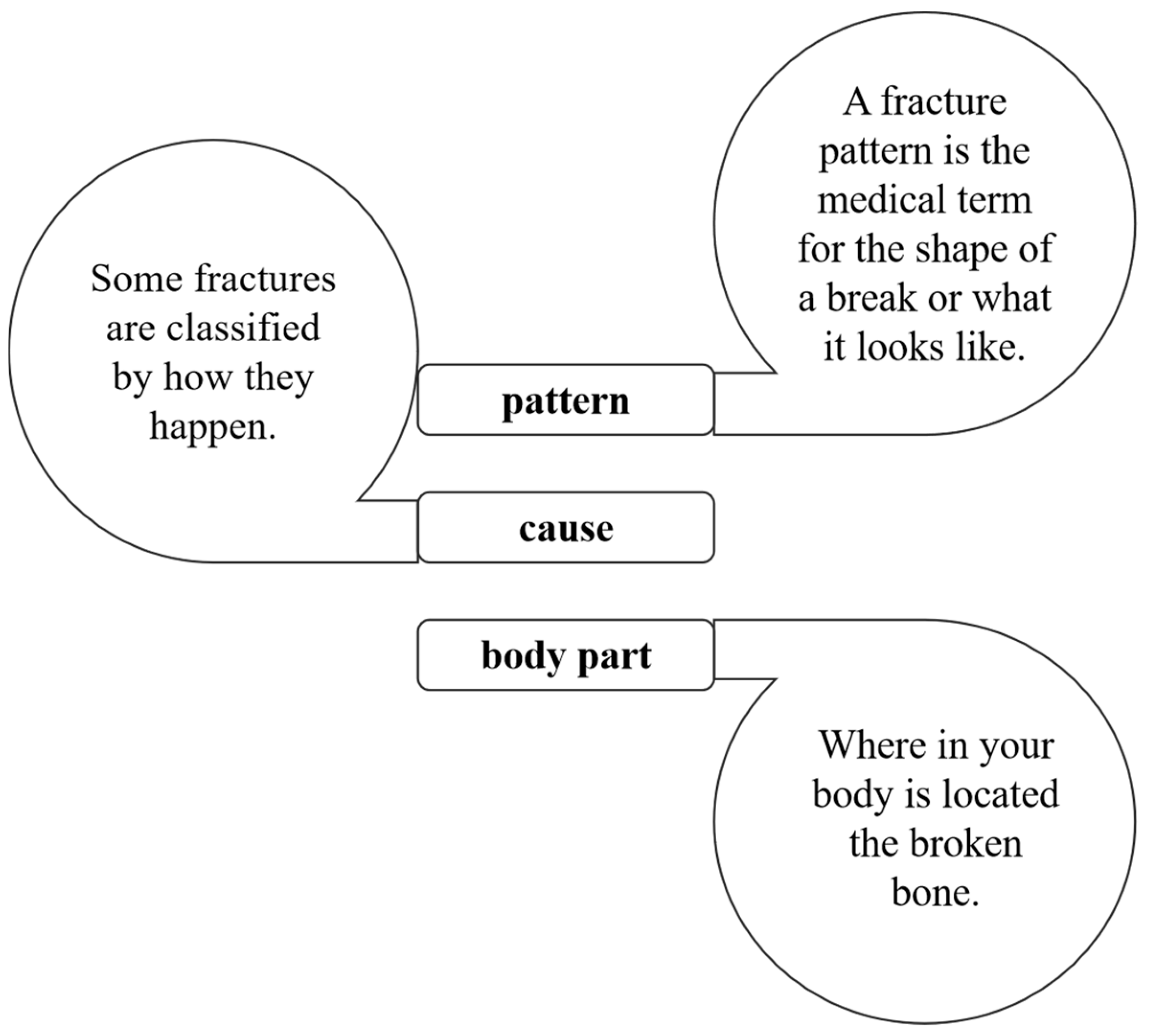 Diagnostics 15 00271 g001