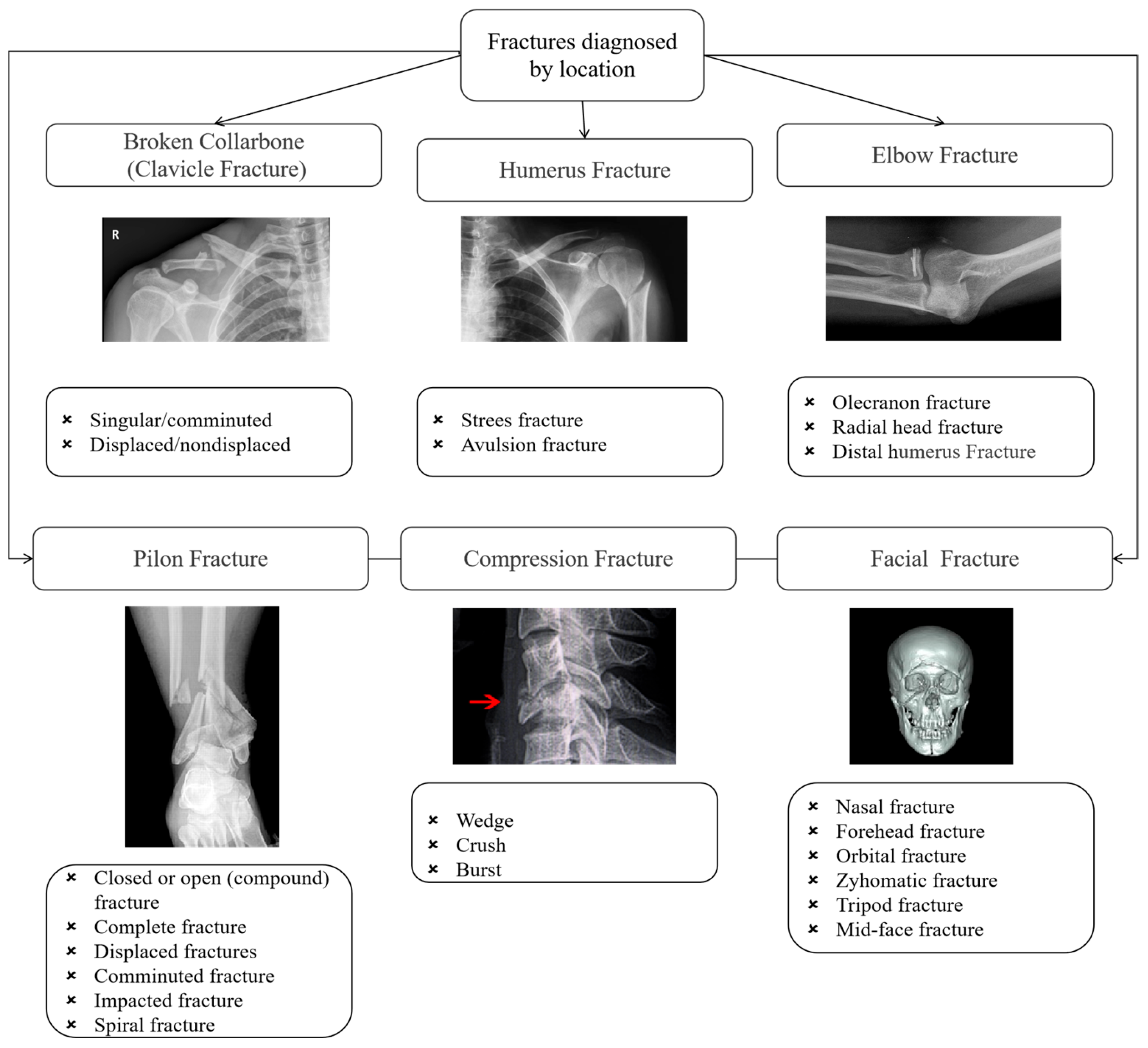 Diagnostics 15 00271 g002