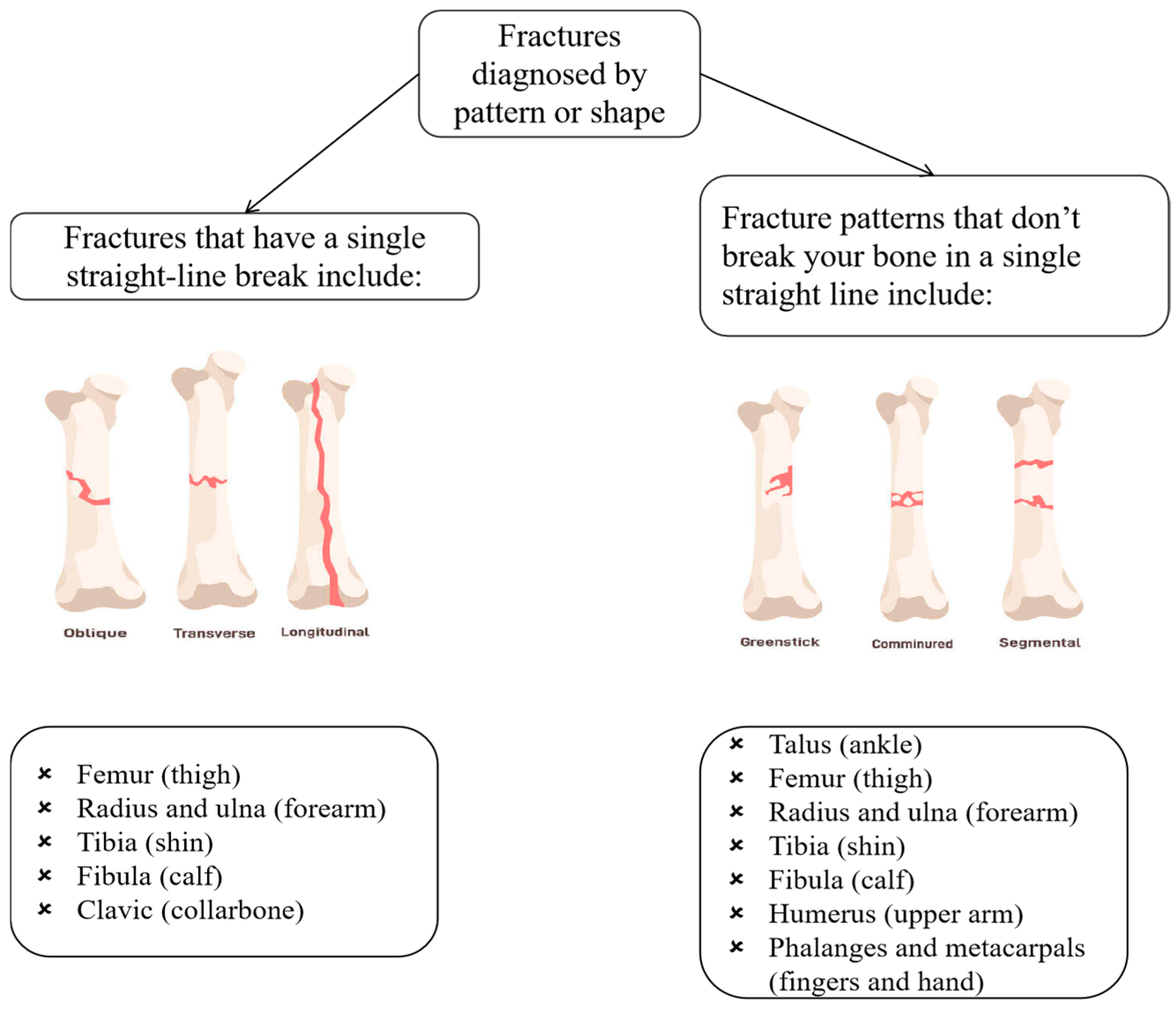 Diagnostics 15 00271 g004
