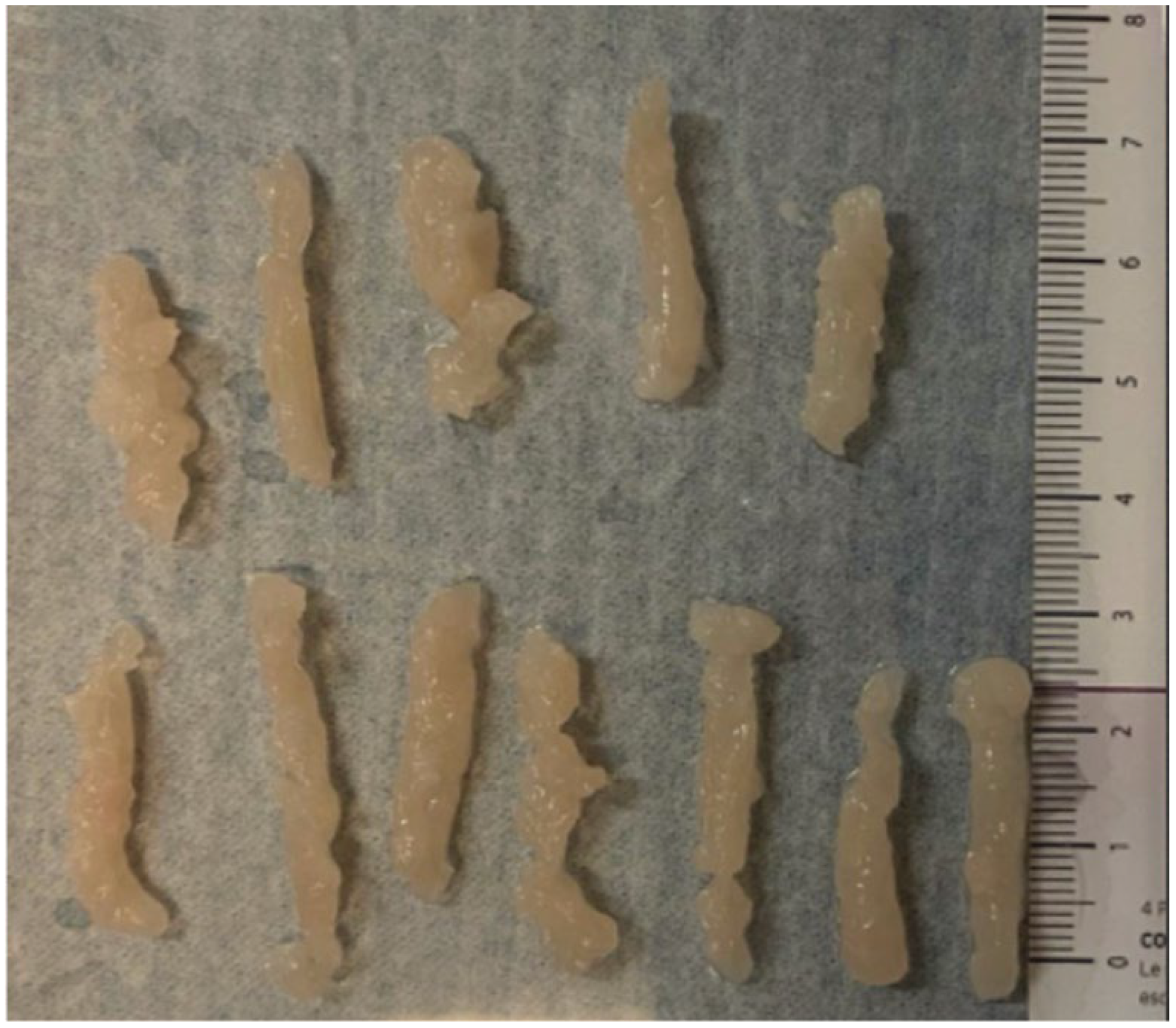 Diagnostics 15 00272 g002