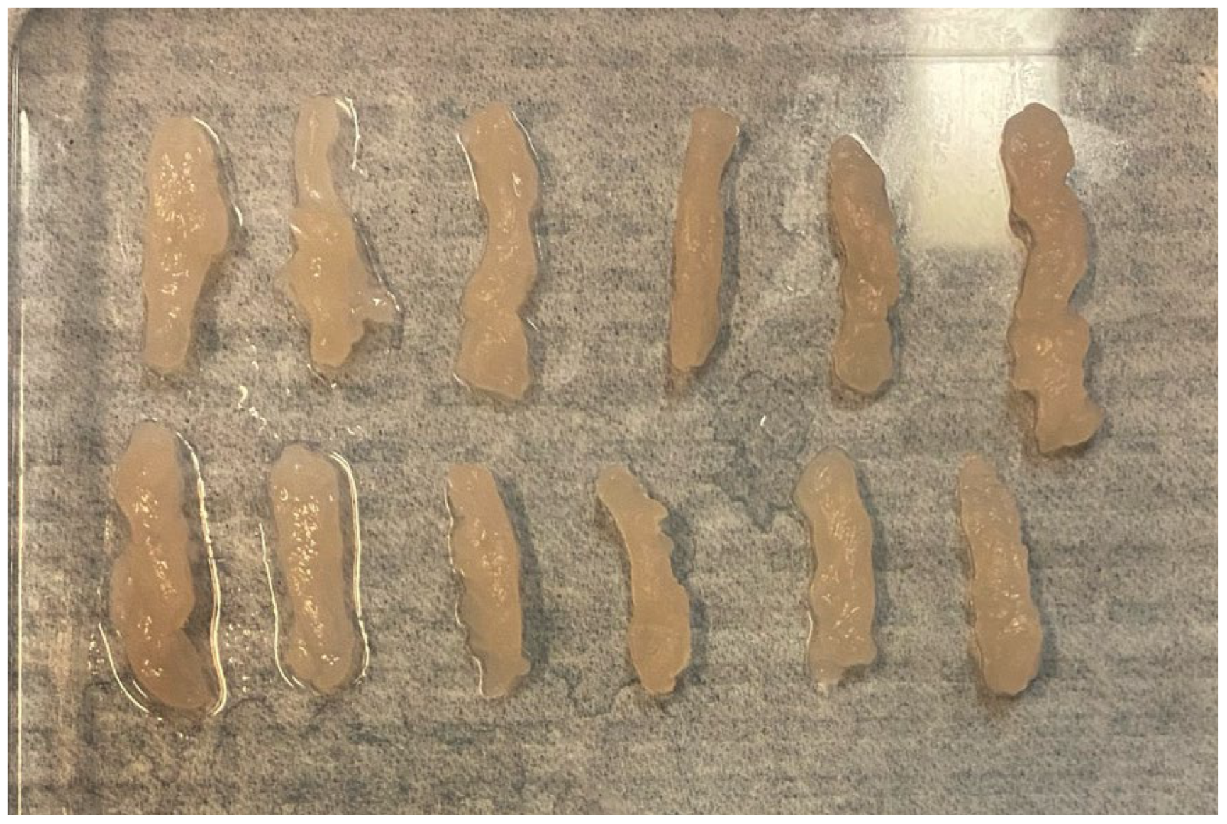 Diagnostics 15 00272 g004