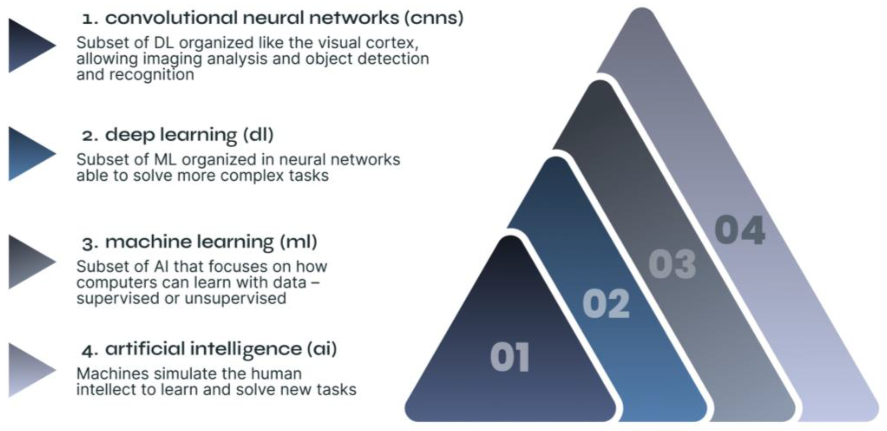 Diagnostics 15 00274 g001
