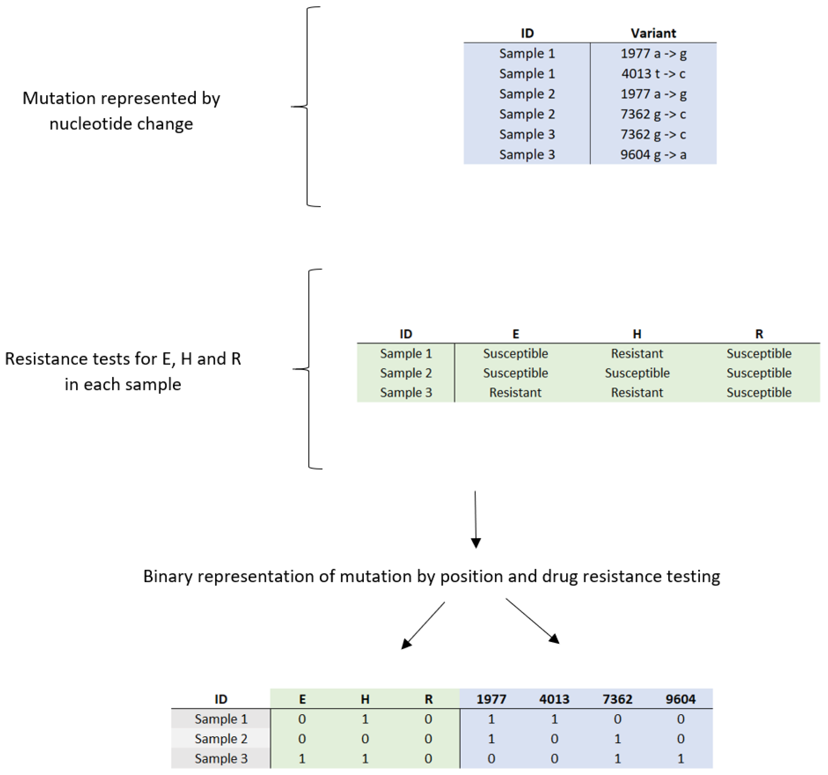 Diagnostics 15 00279 g001