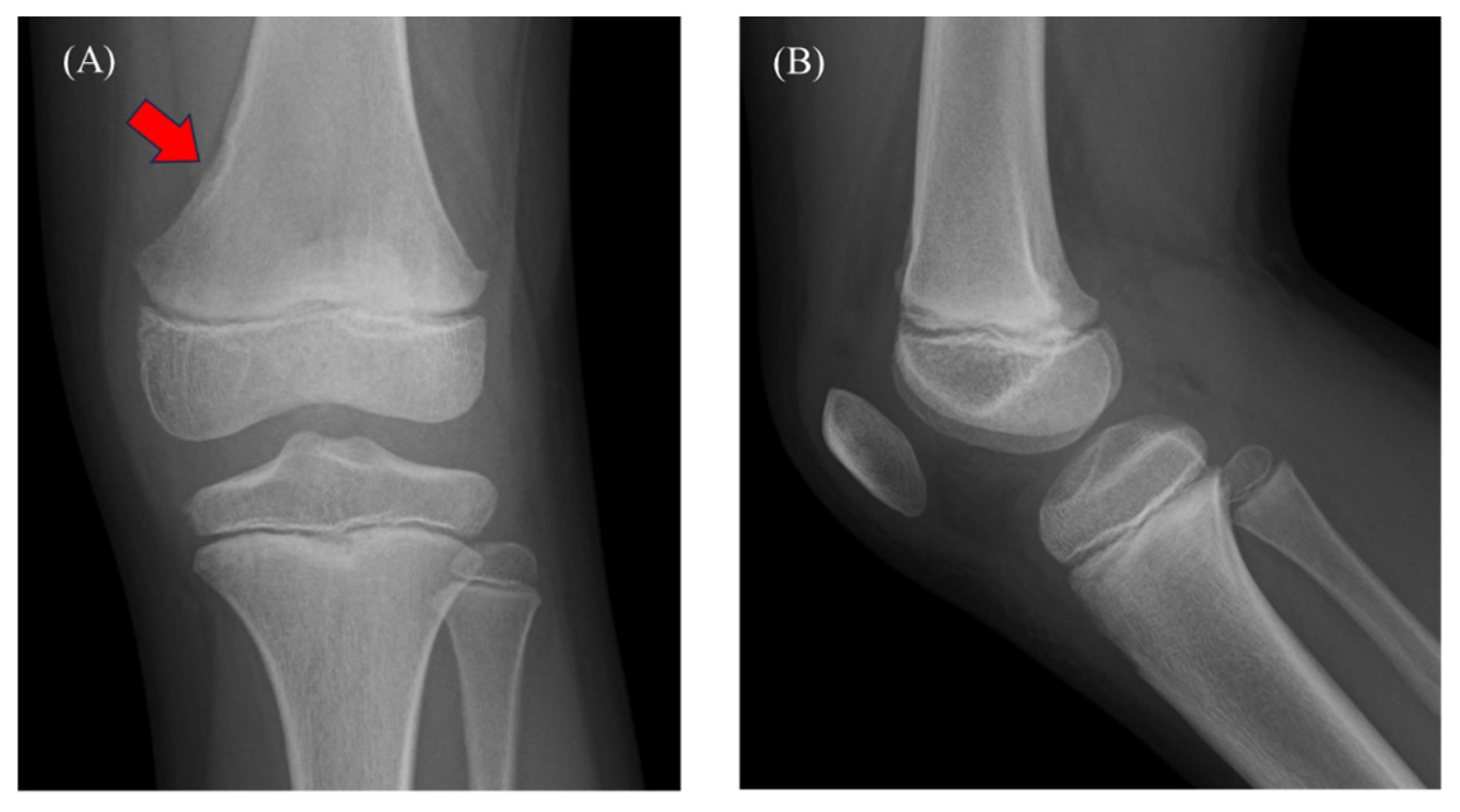Diagnostics 15 00281 g001