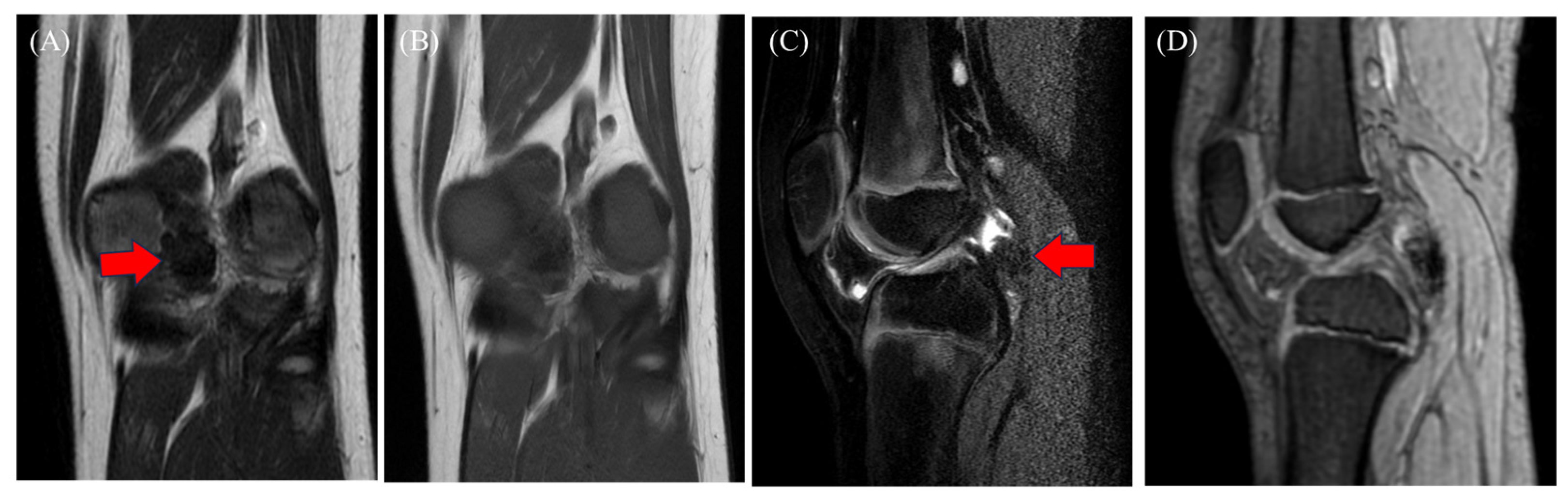 Diagnostics 15 00281 g003