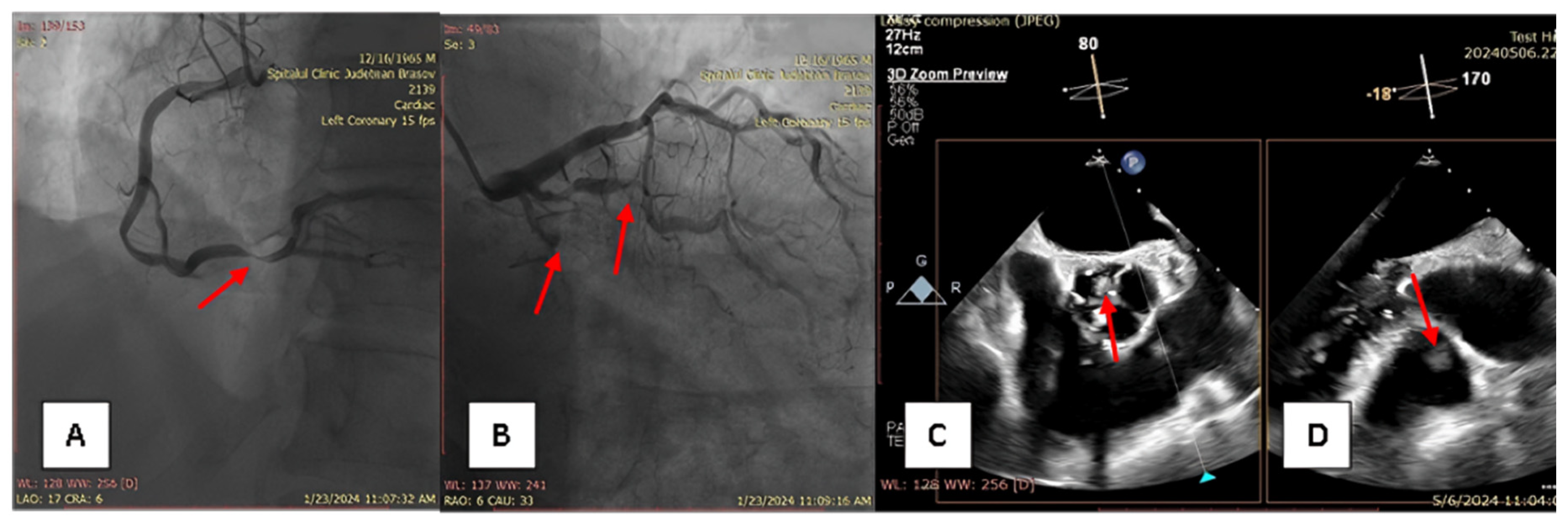 Diagnostics 15 00283 g001