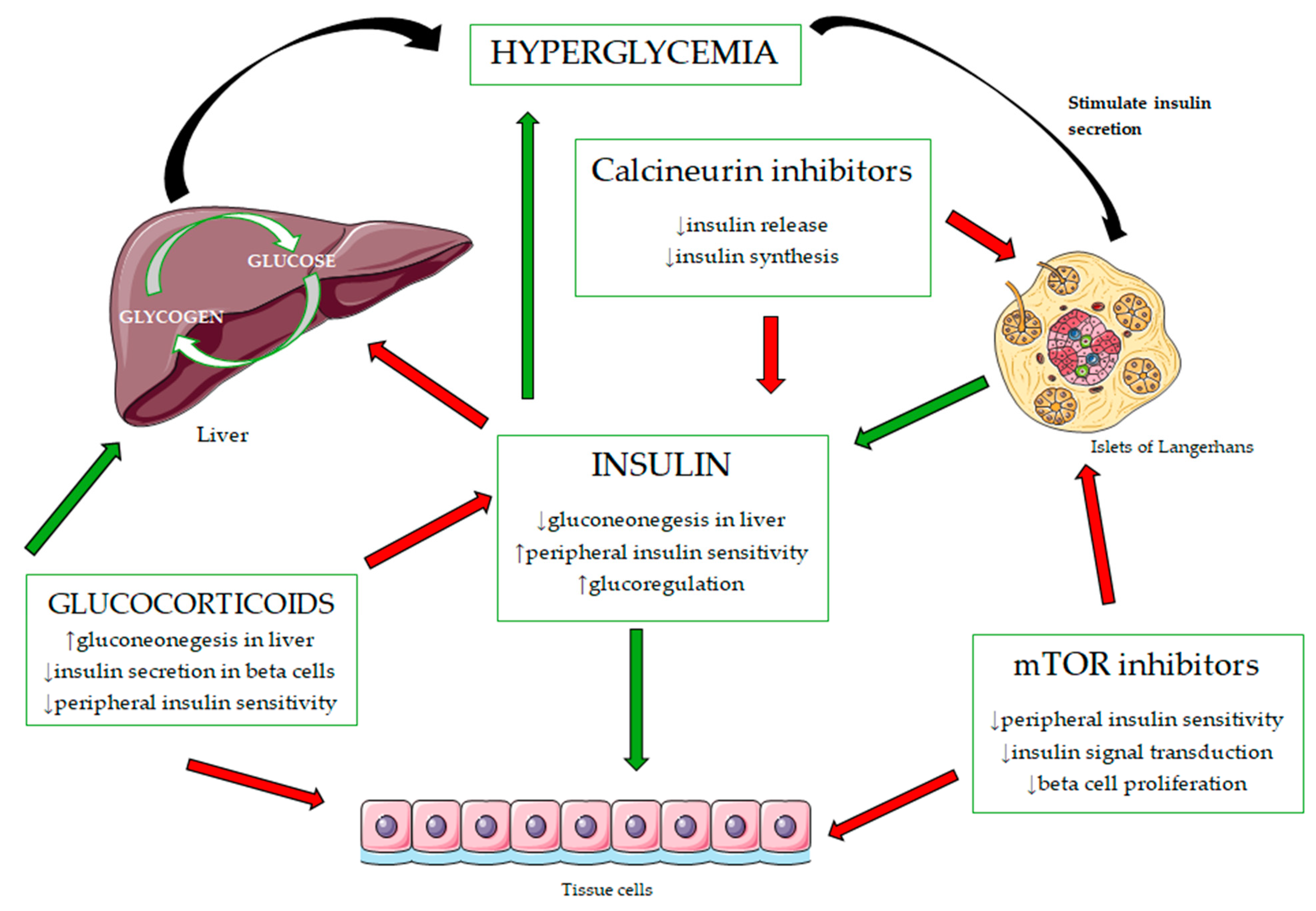 Diagnostics 15 00284 g002