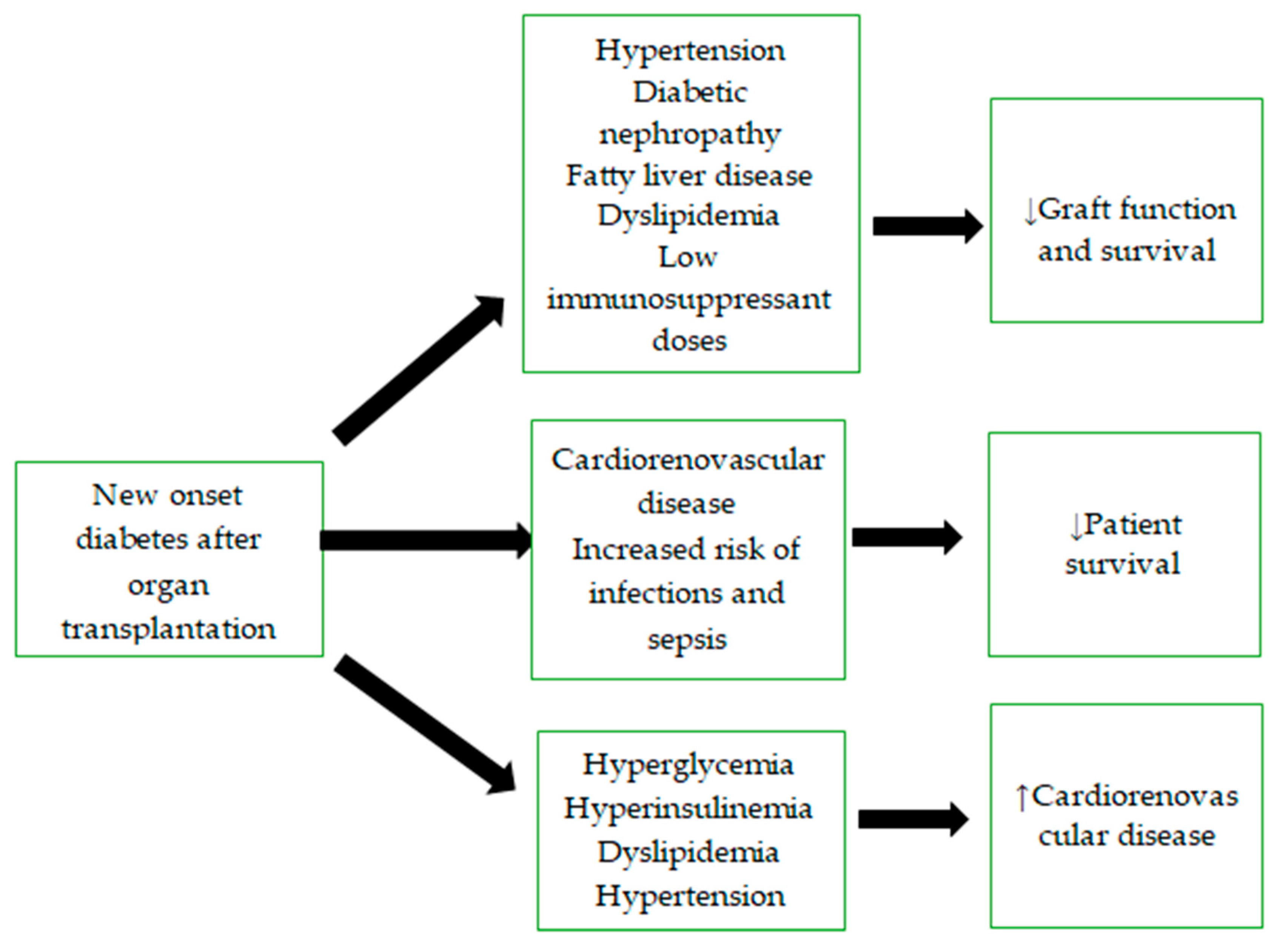 Diagnostics 15 00284 g003