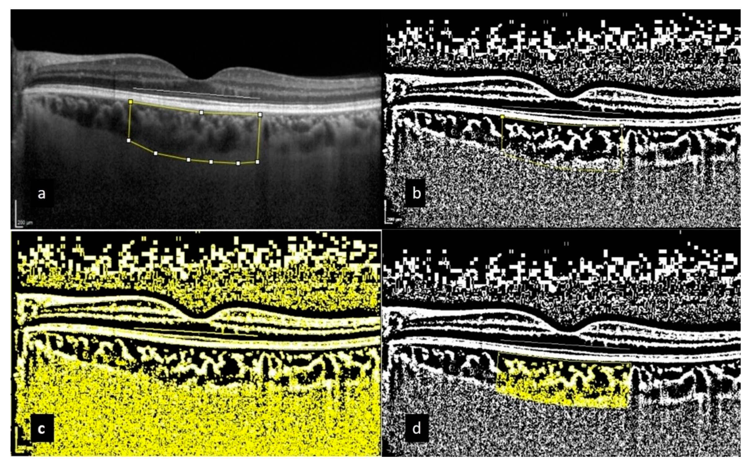 Diagnostics 15 00286 g003