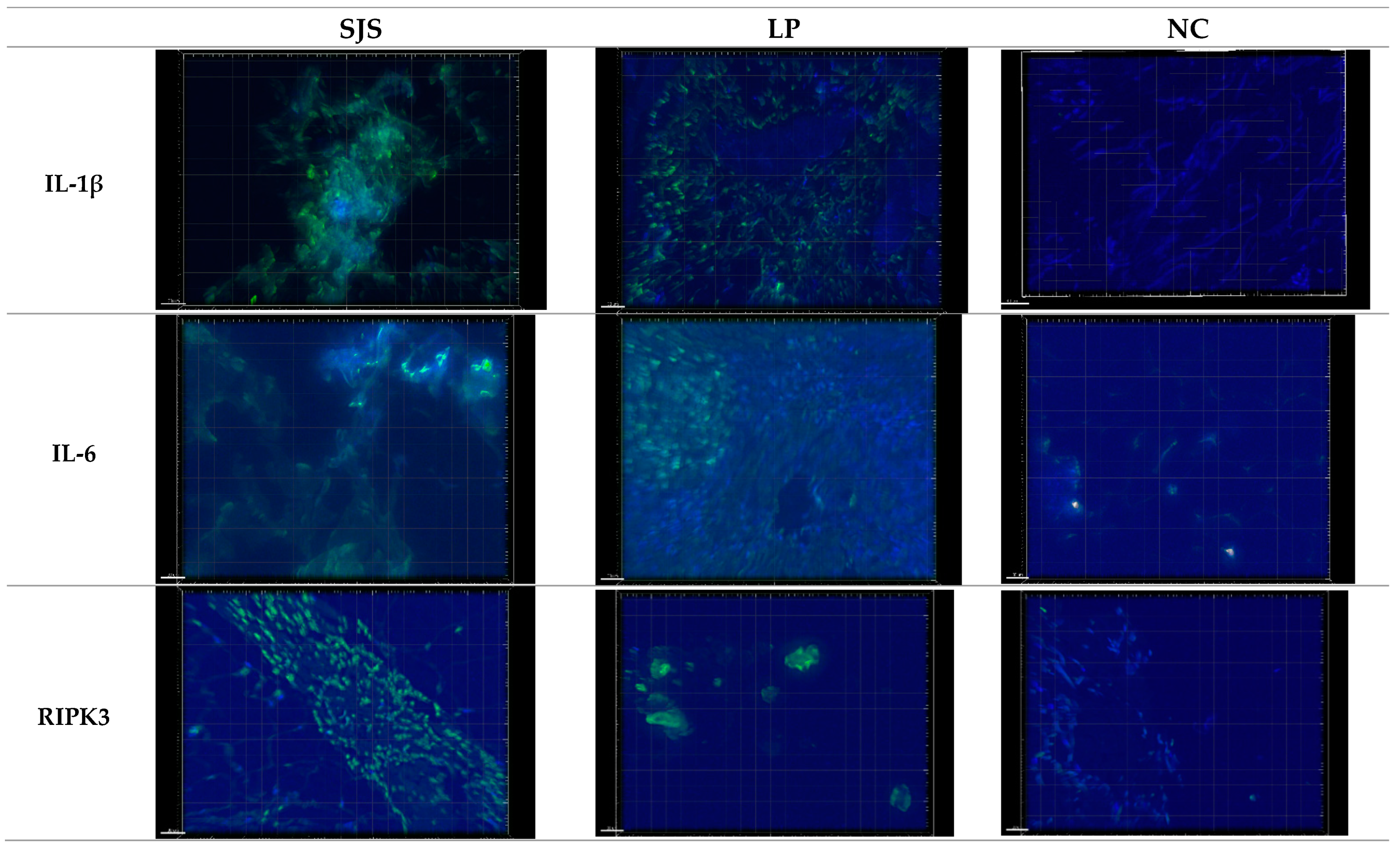 Diagnostics 15 00290 g002