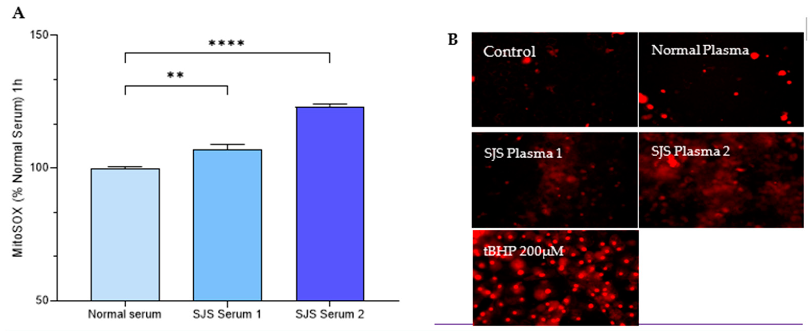 Diagnostics 15 00290 g007