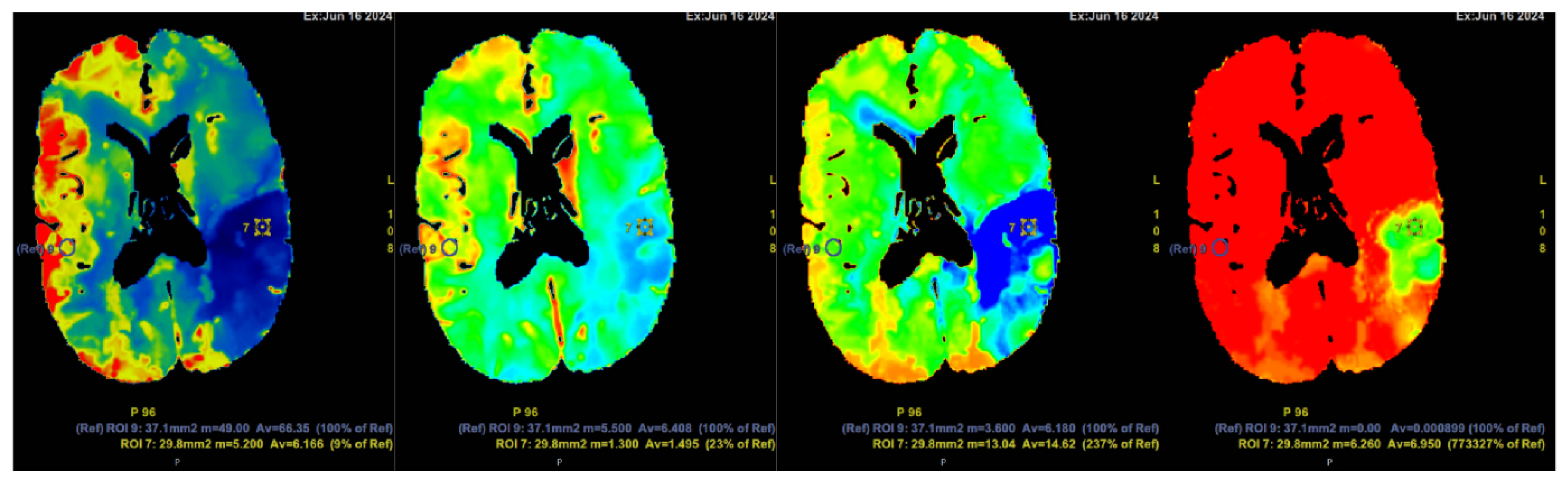 Diagnostics 15 00291 g002