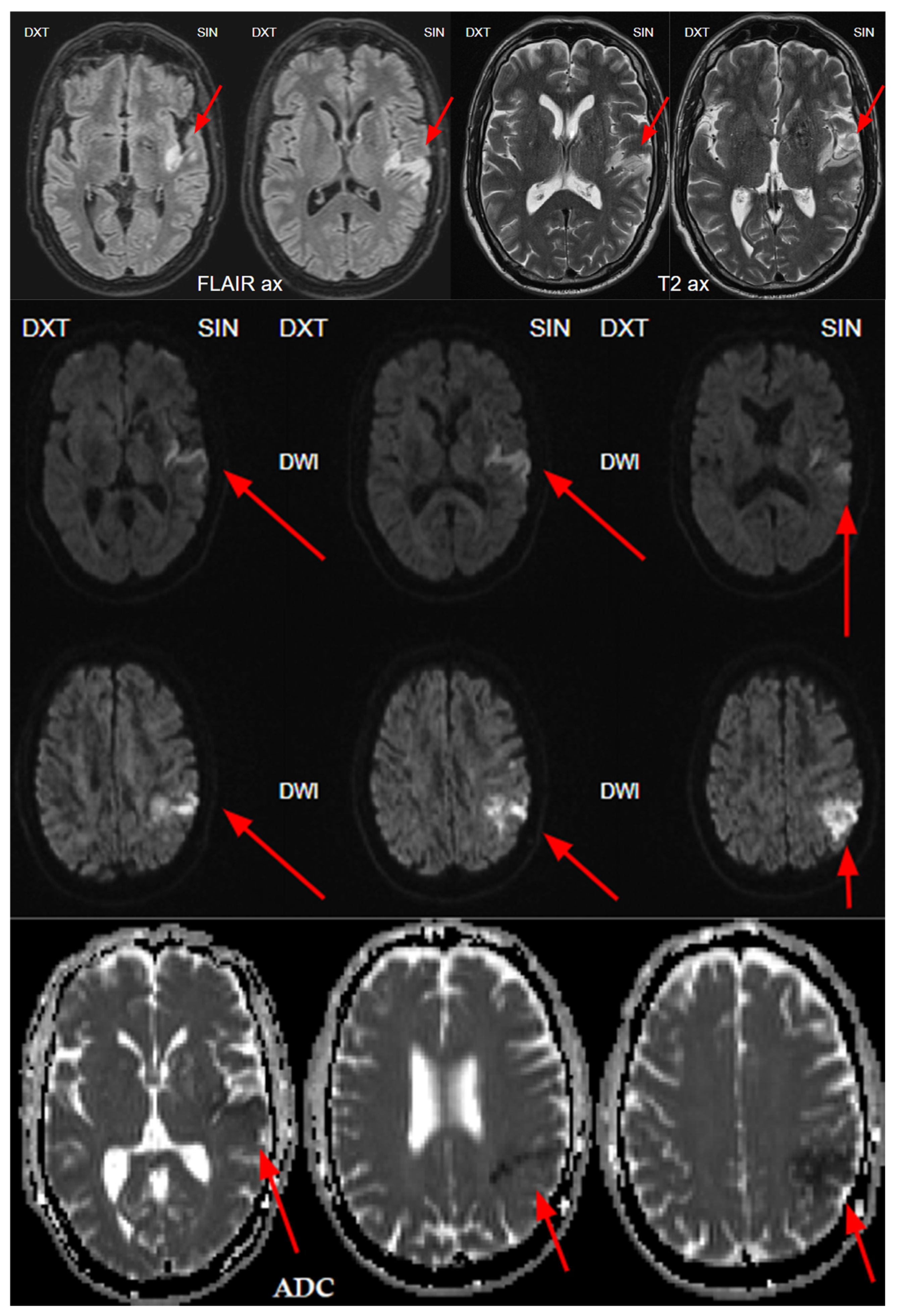 Diagnostics 15 00291 g003