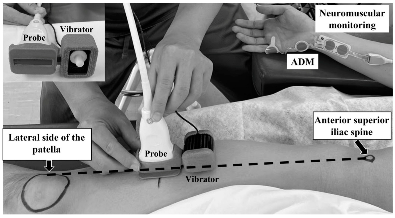 Diagnostics 15 00293 g002