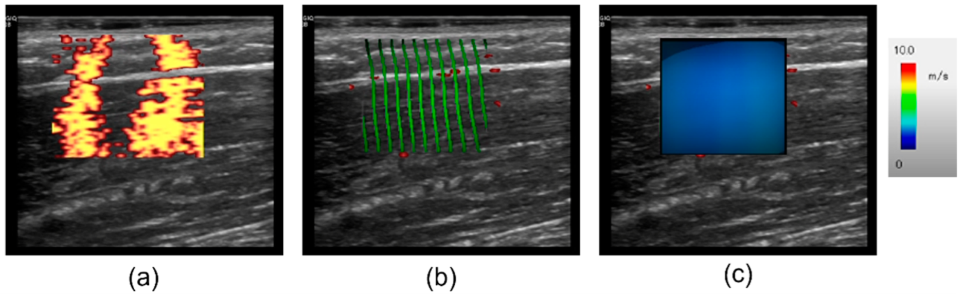 Diagnostics 15 00293 g003