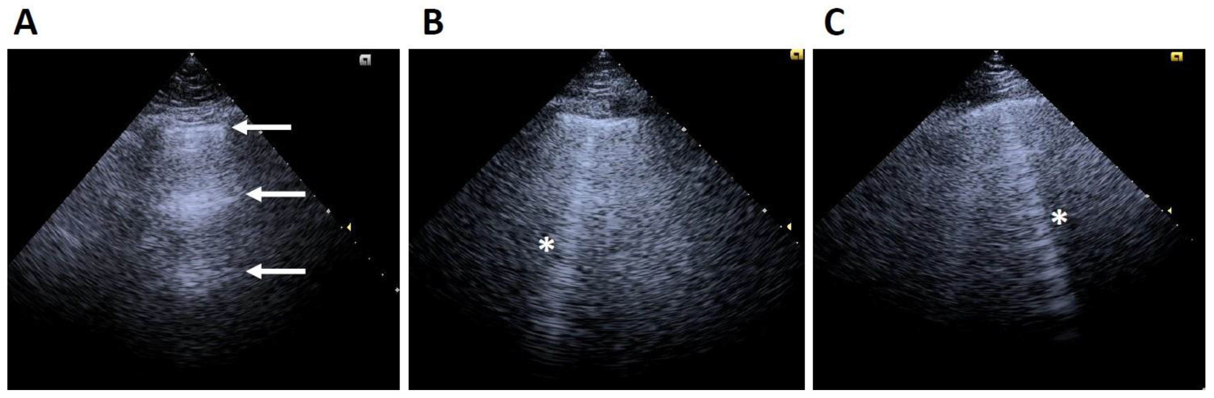 Diagnostics 15 00297 g001 Diagnostics 15 00297 g001