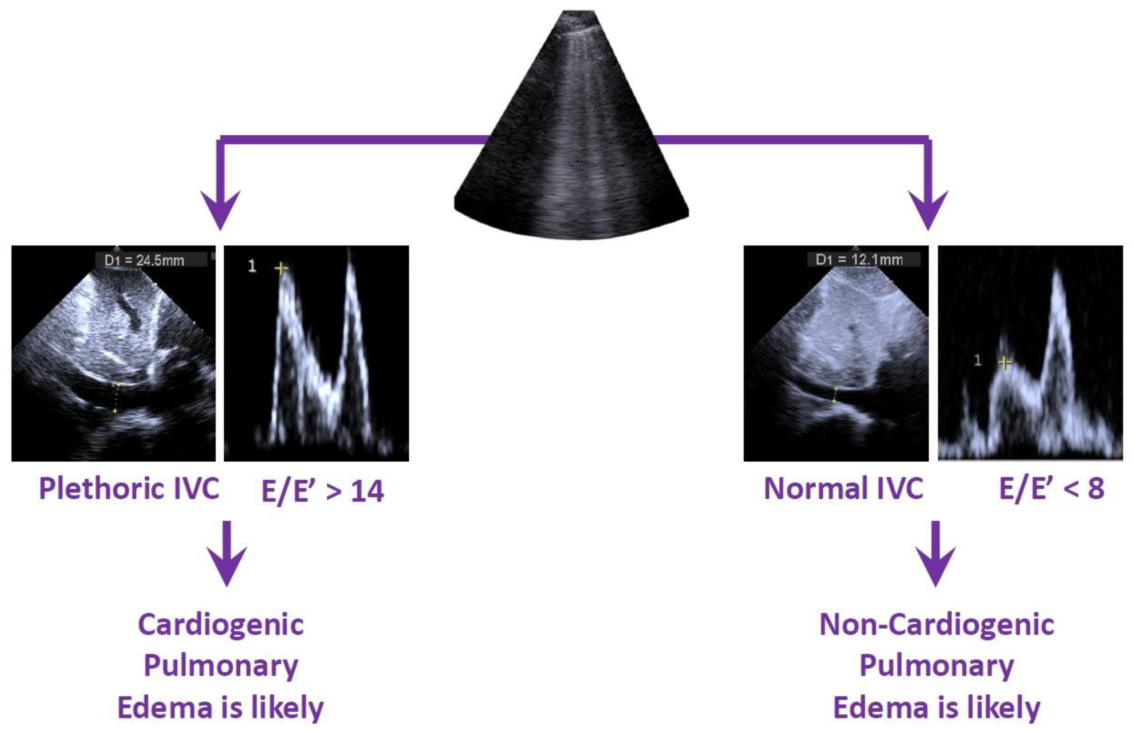 Diagnostics 15 00297 g002 Diagnostics 15 00297 g002