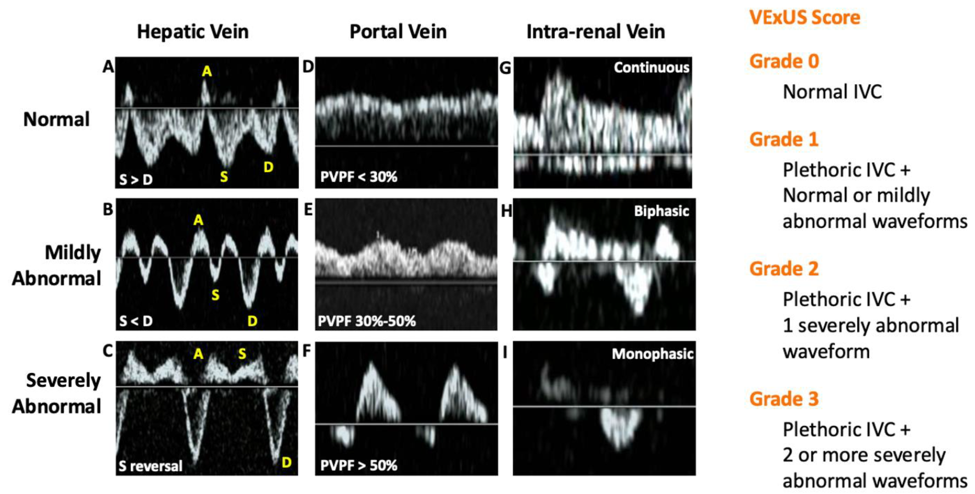 Diagnostics 15 00297 g003 Diagnostics 15 00297 g003