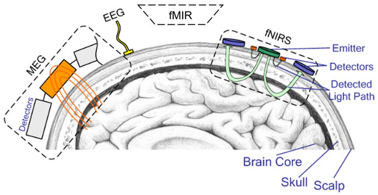 脳機能入門 = A Glimpse of Brain Functions 脳機能 入門: 機能局在から症状・リハビリまで／実際の症状が